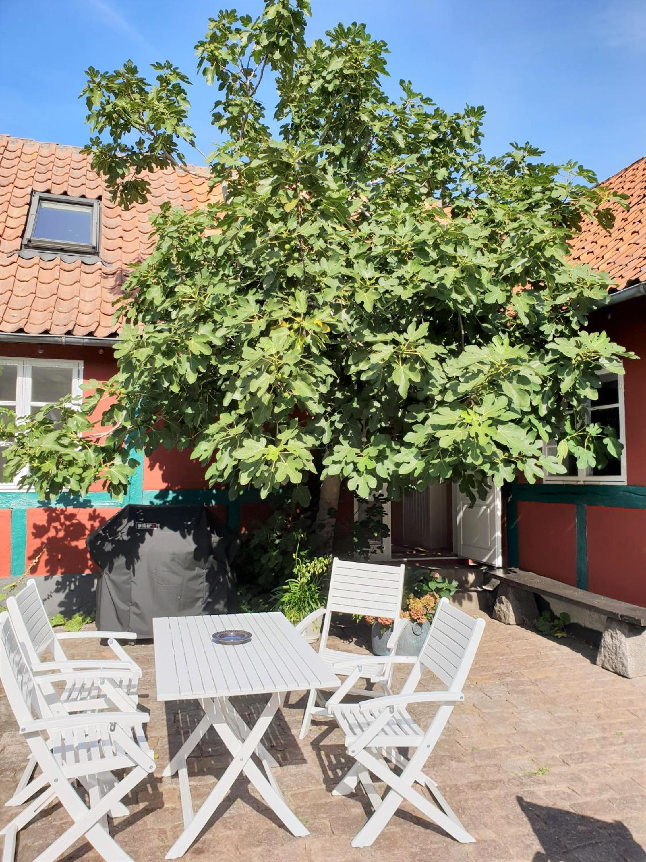 Pension Holmegaard