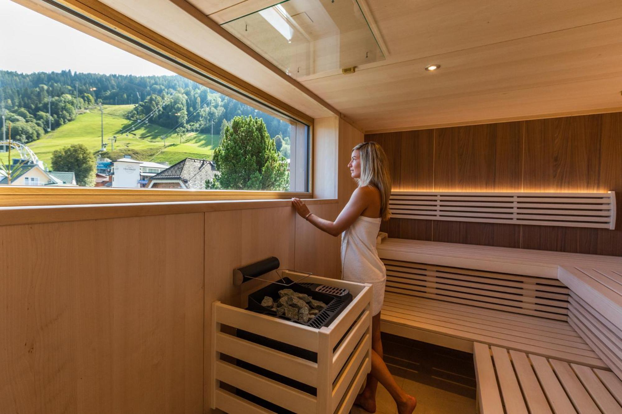 ''die Bergerin'' | Appartements Schladming