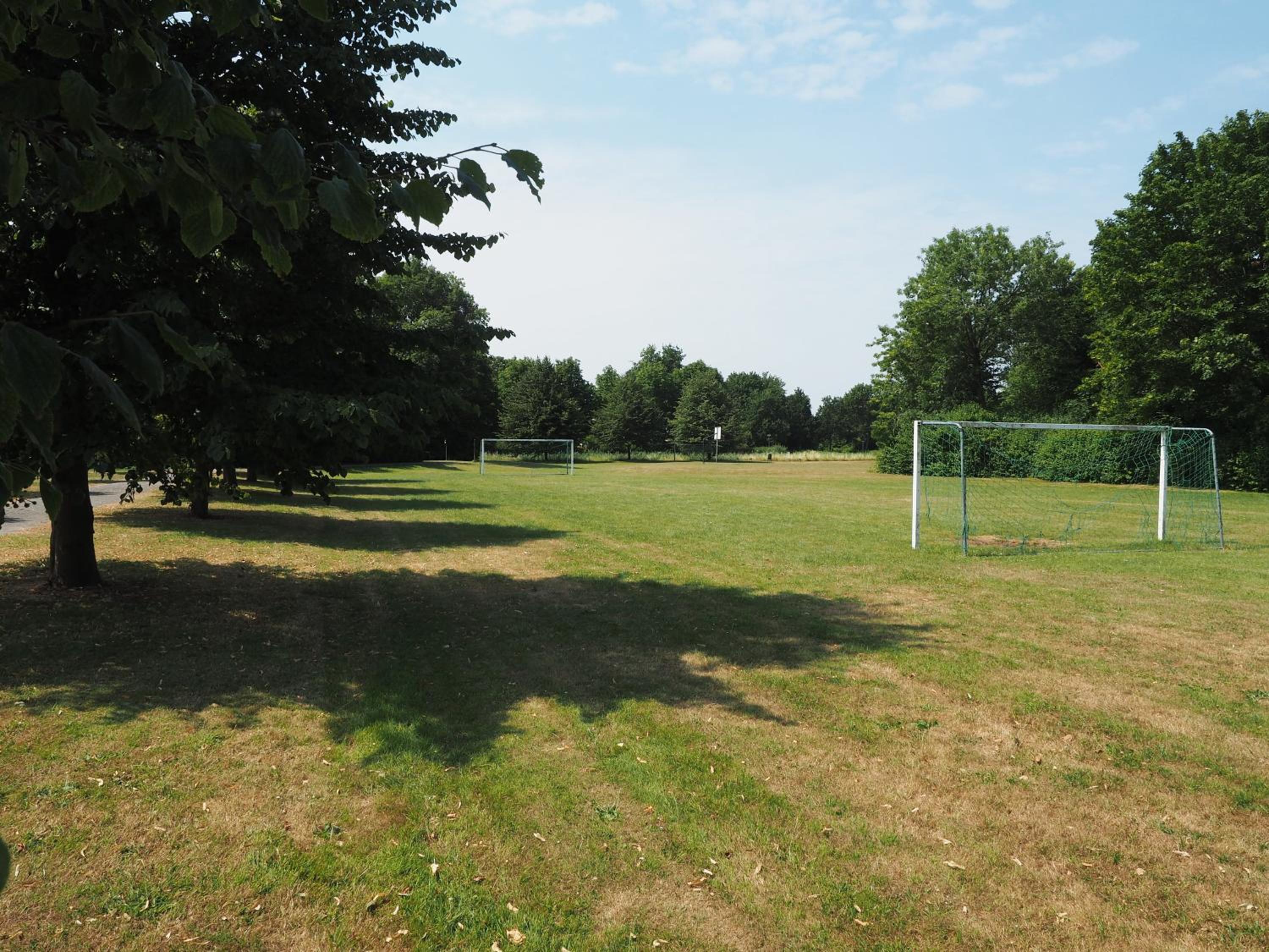 Photo 40