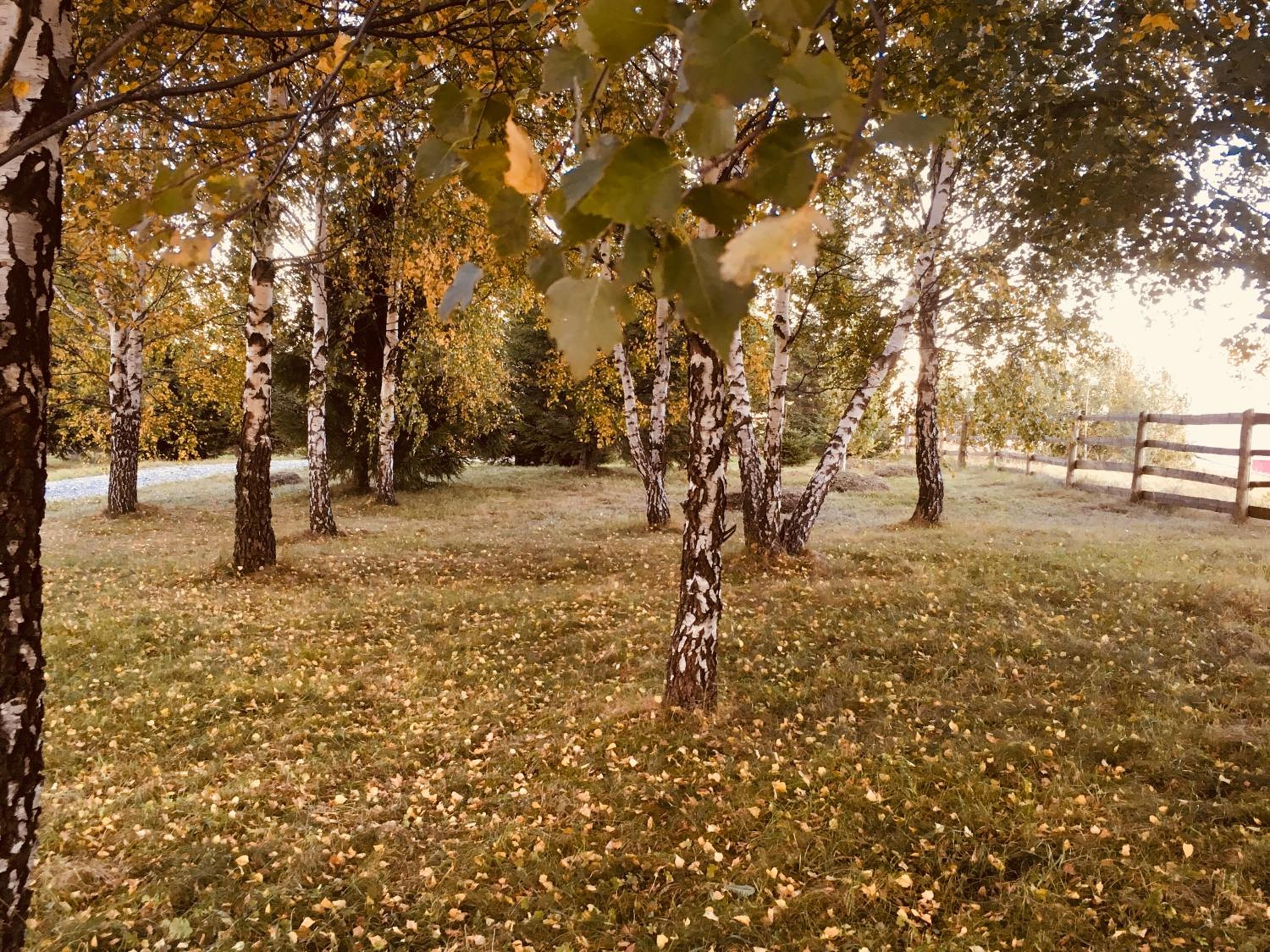 Photo 28