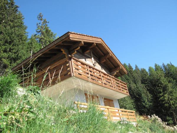 Photo 24
