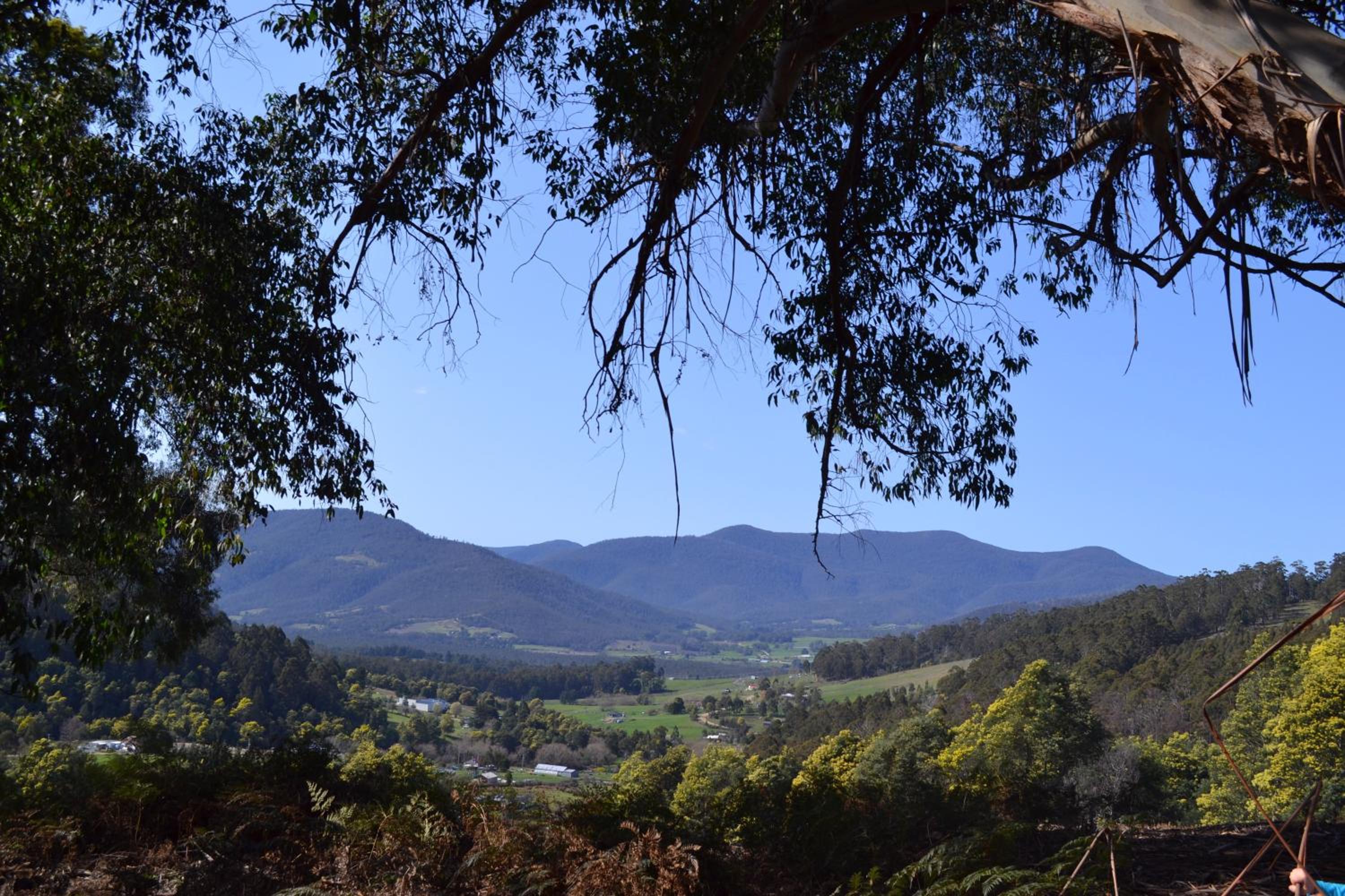 Whispering Spirit Holiday Cottages & Mini Ponies