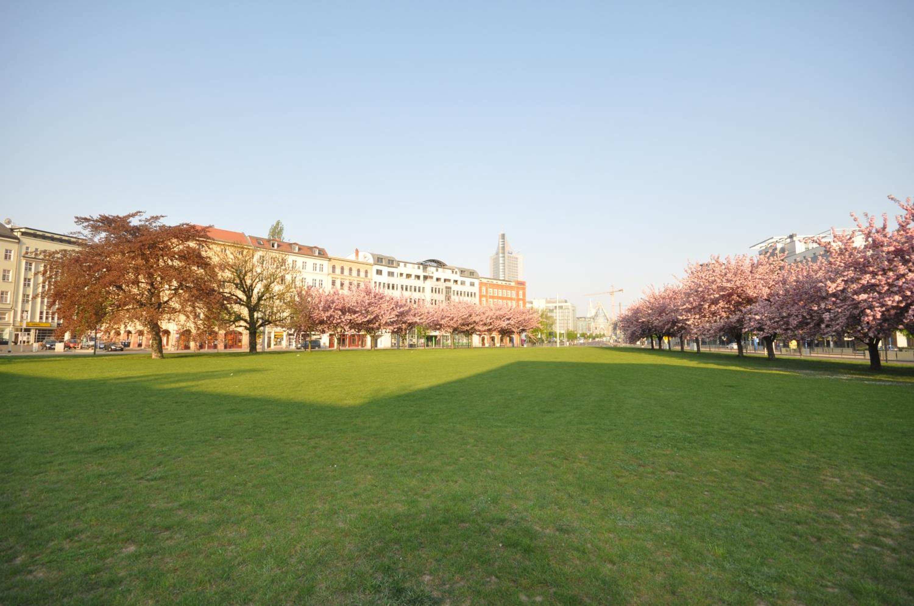 City Park Boardinghouse - #25-30 - Freundliche Apartments, wahlweise mit Frühstück, im Zentrum
