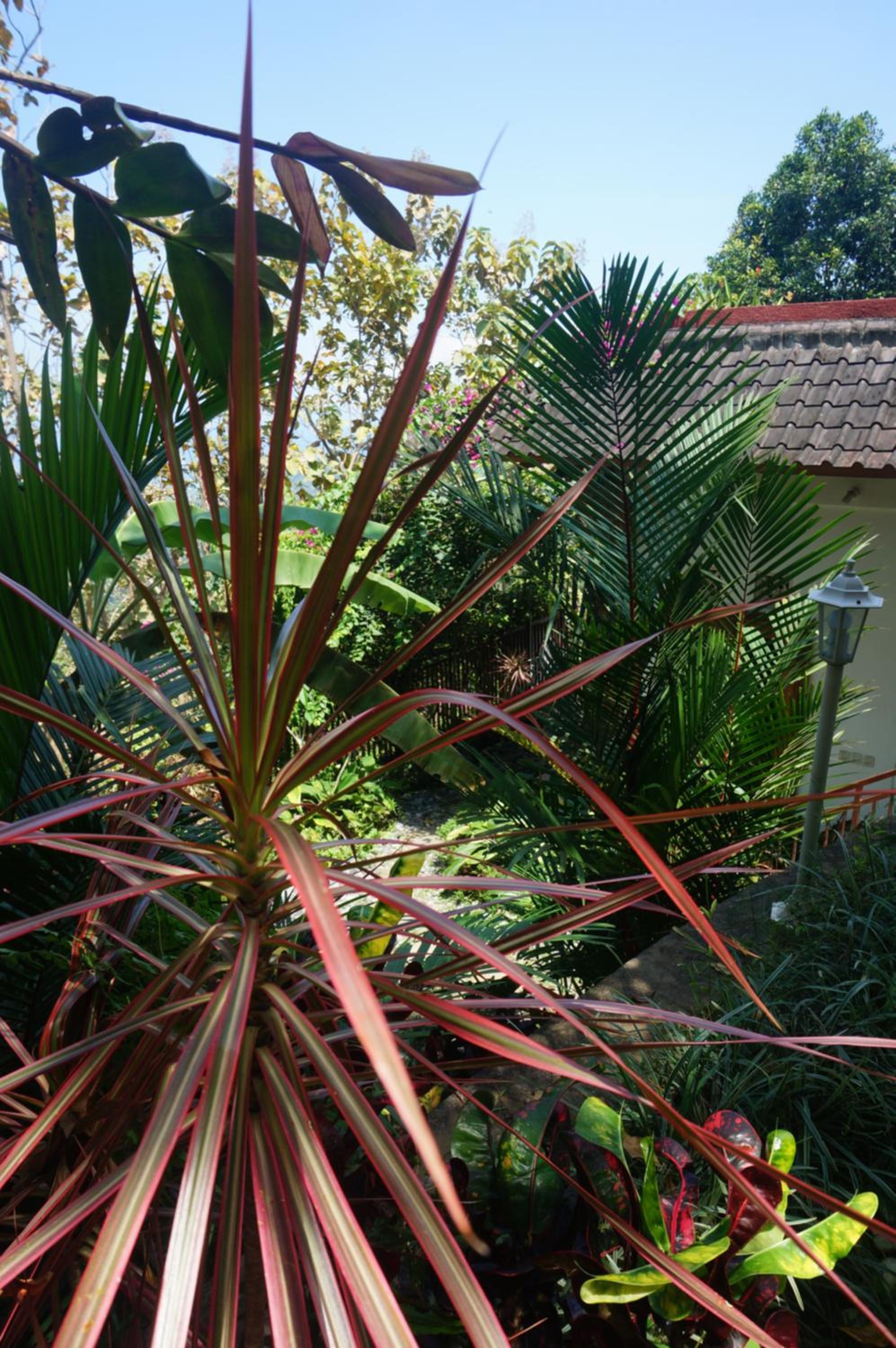 Photo 26