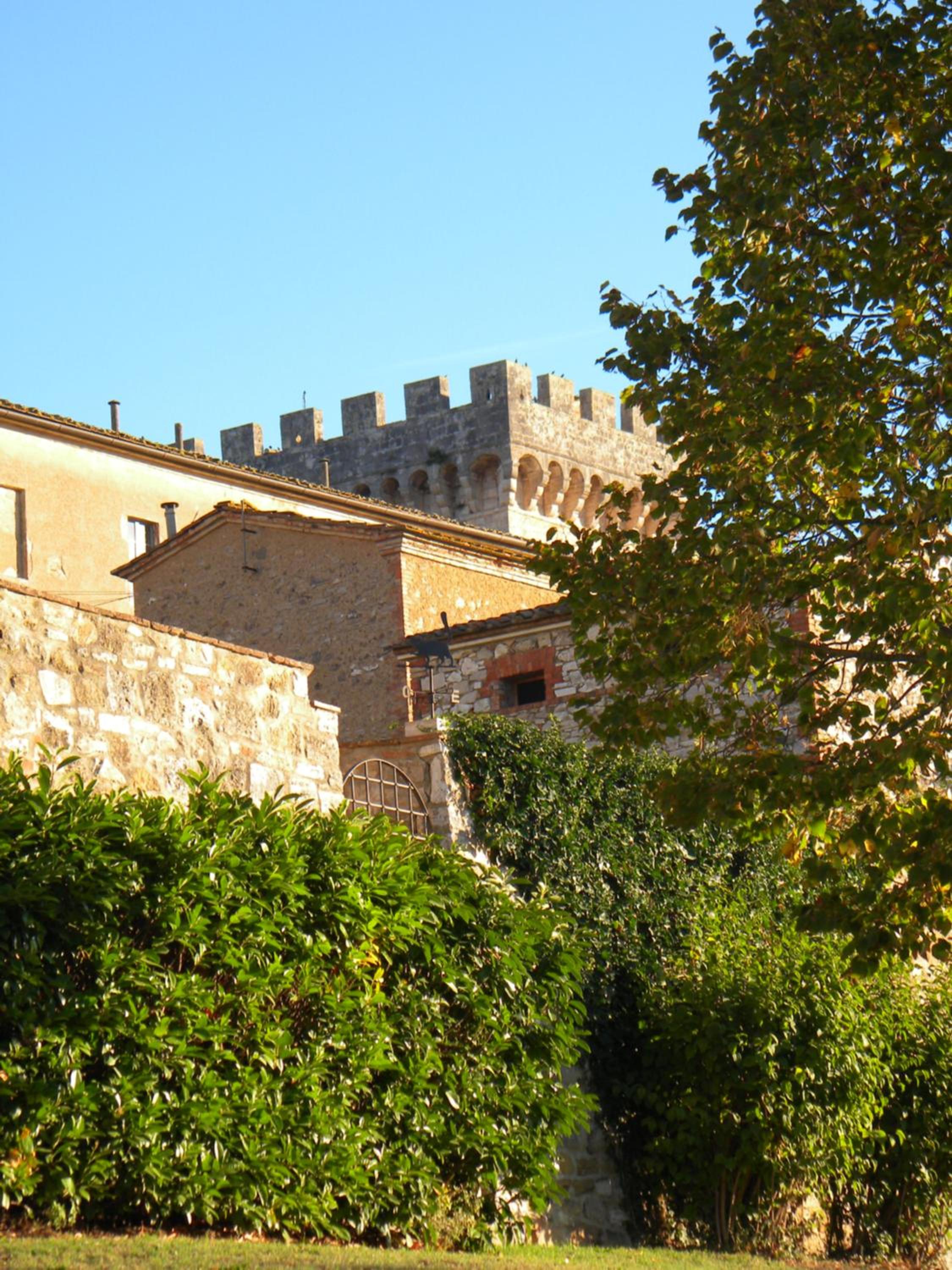 Agriturismo Tenuta il Tasso view 4