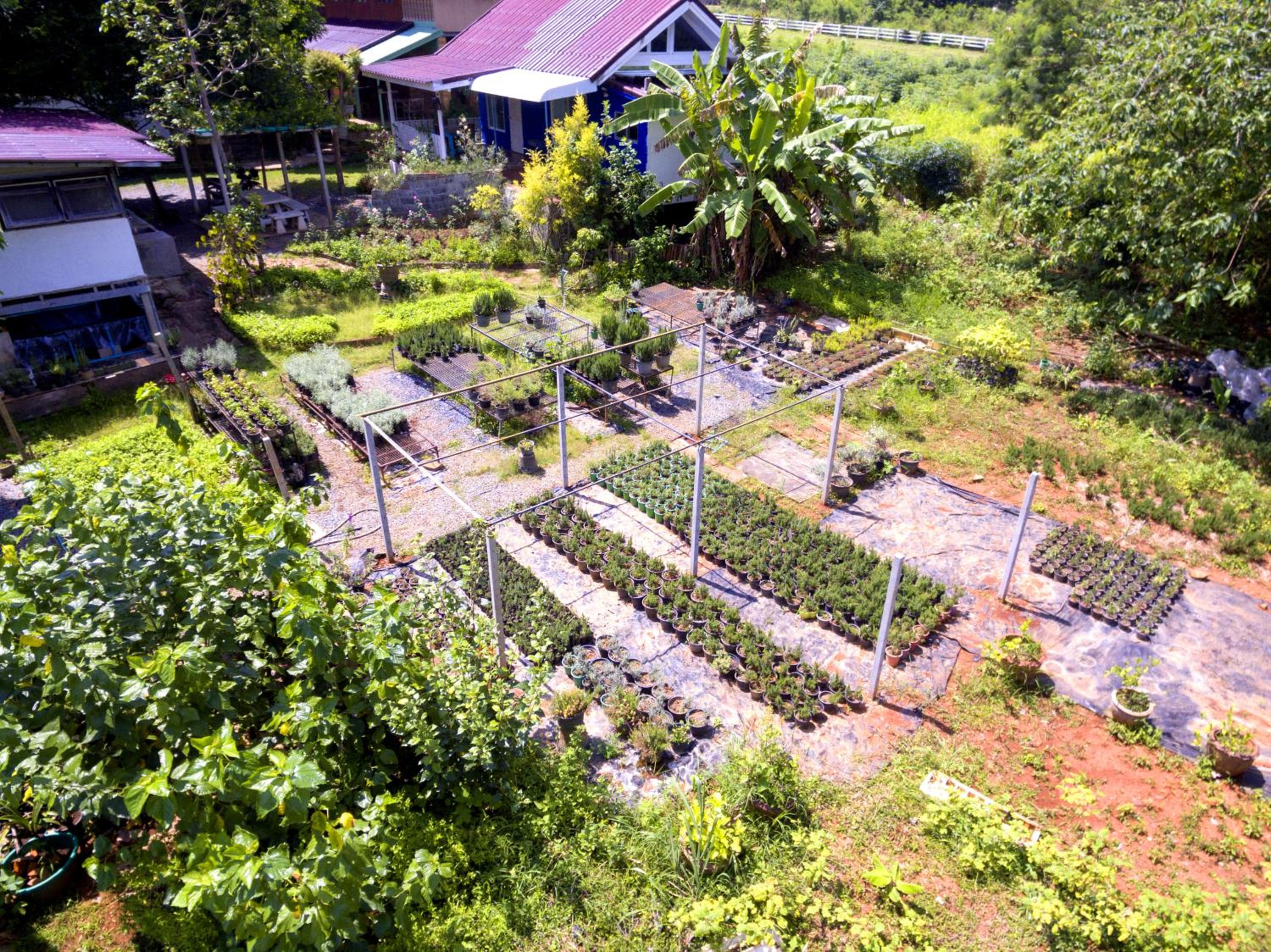 Rosemary House