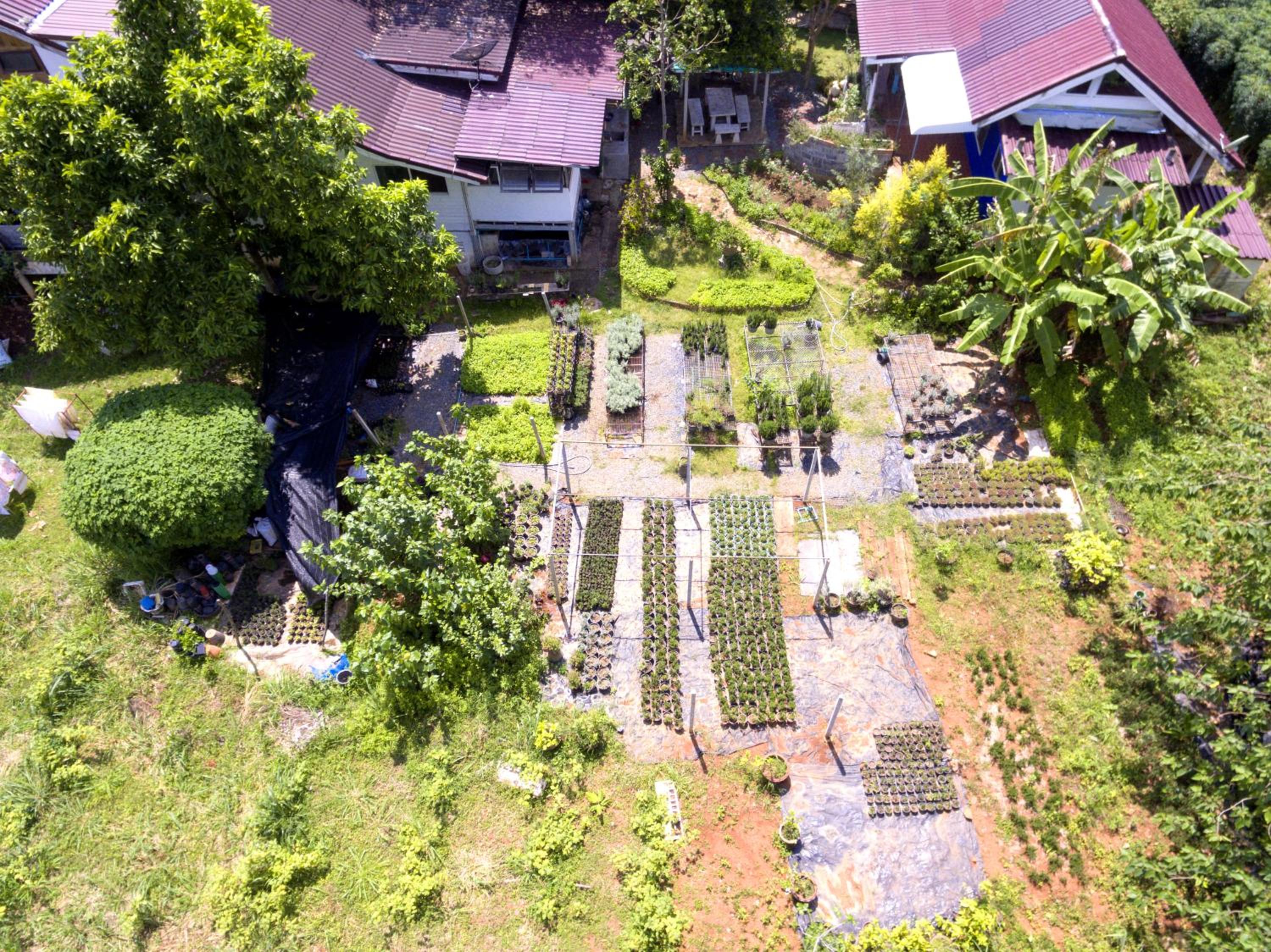 Rosemary House