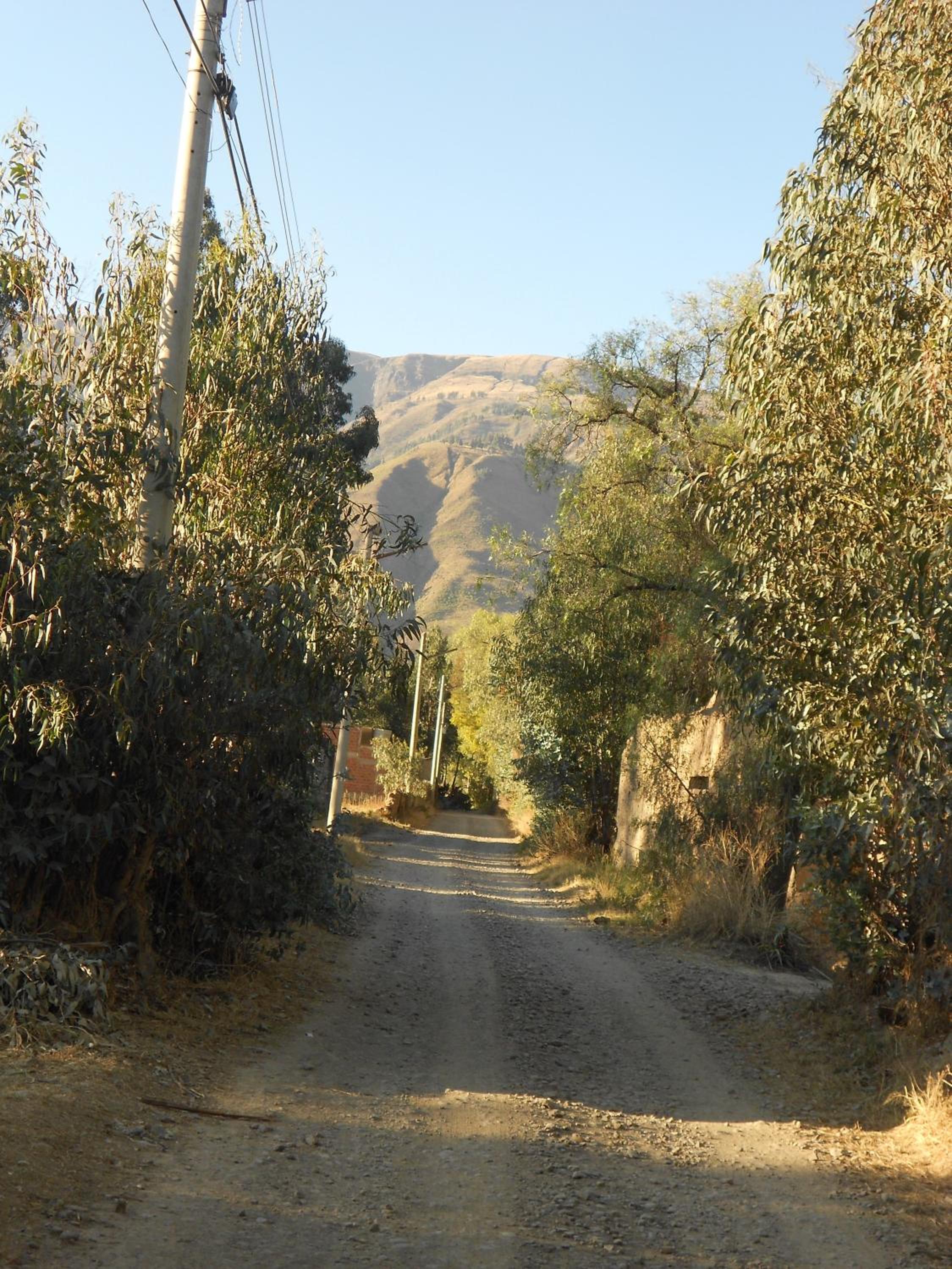 Photo 37
