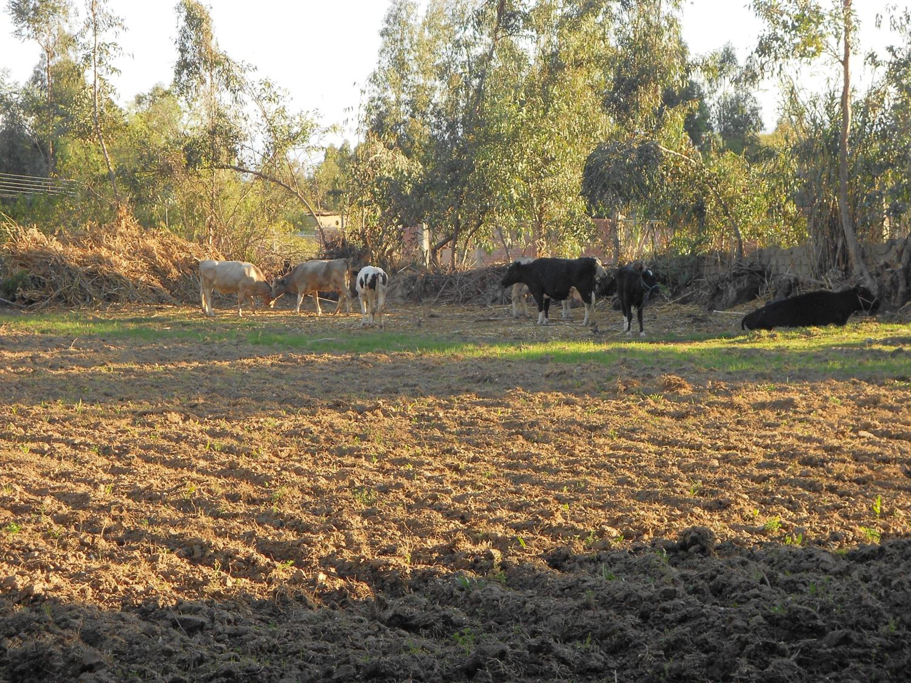 Photo 40