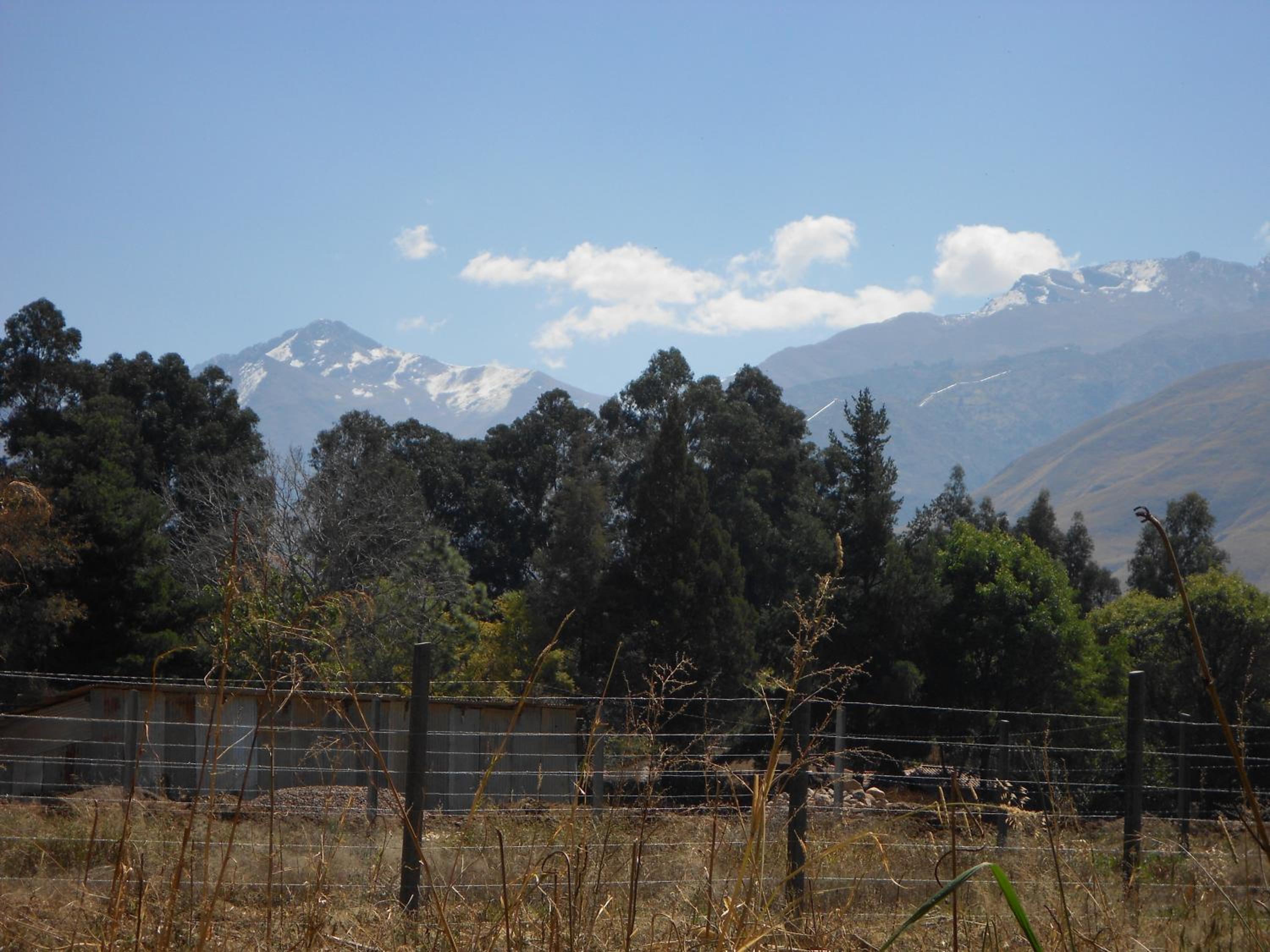 Photo 44