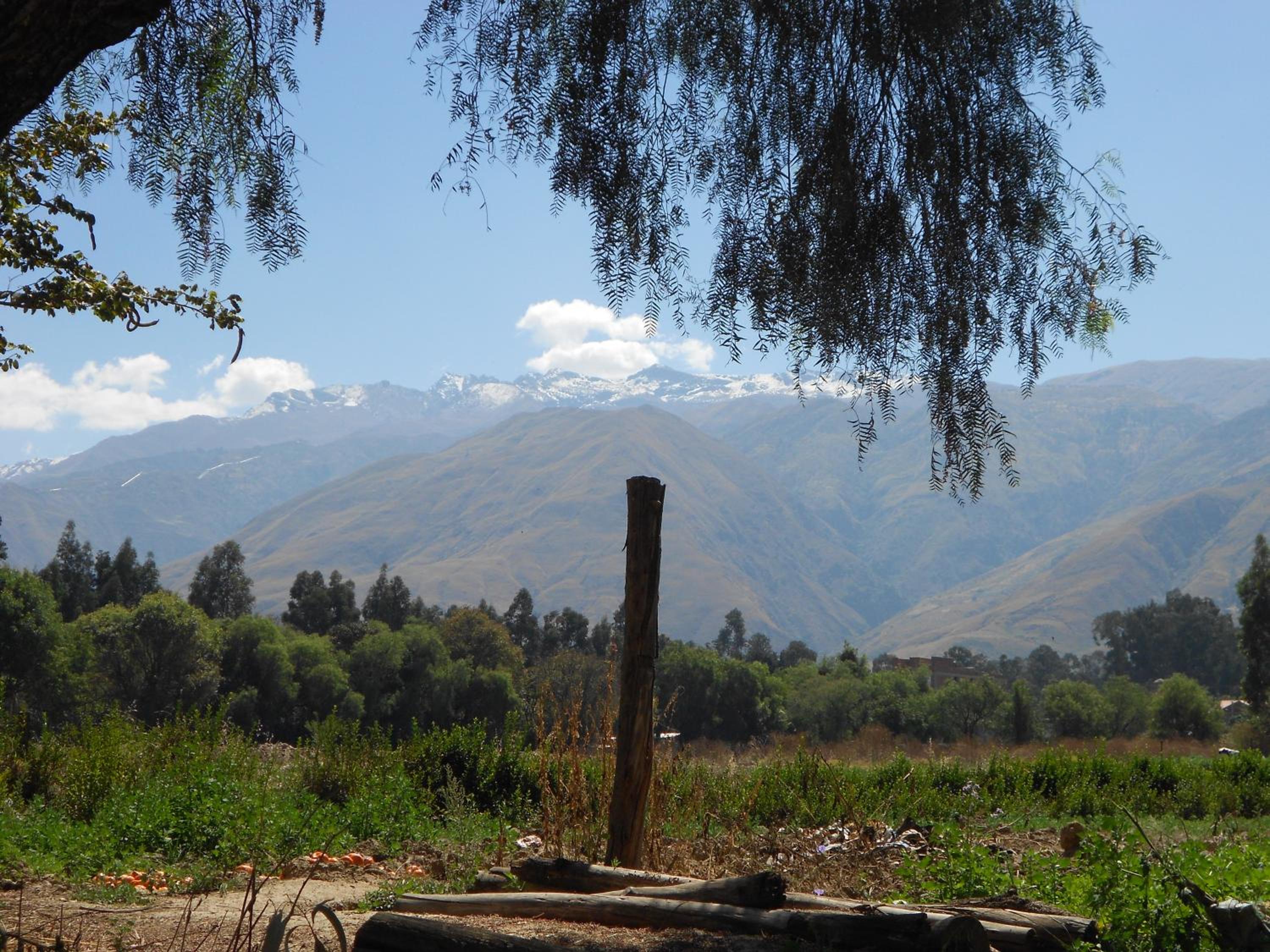 Photo 42