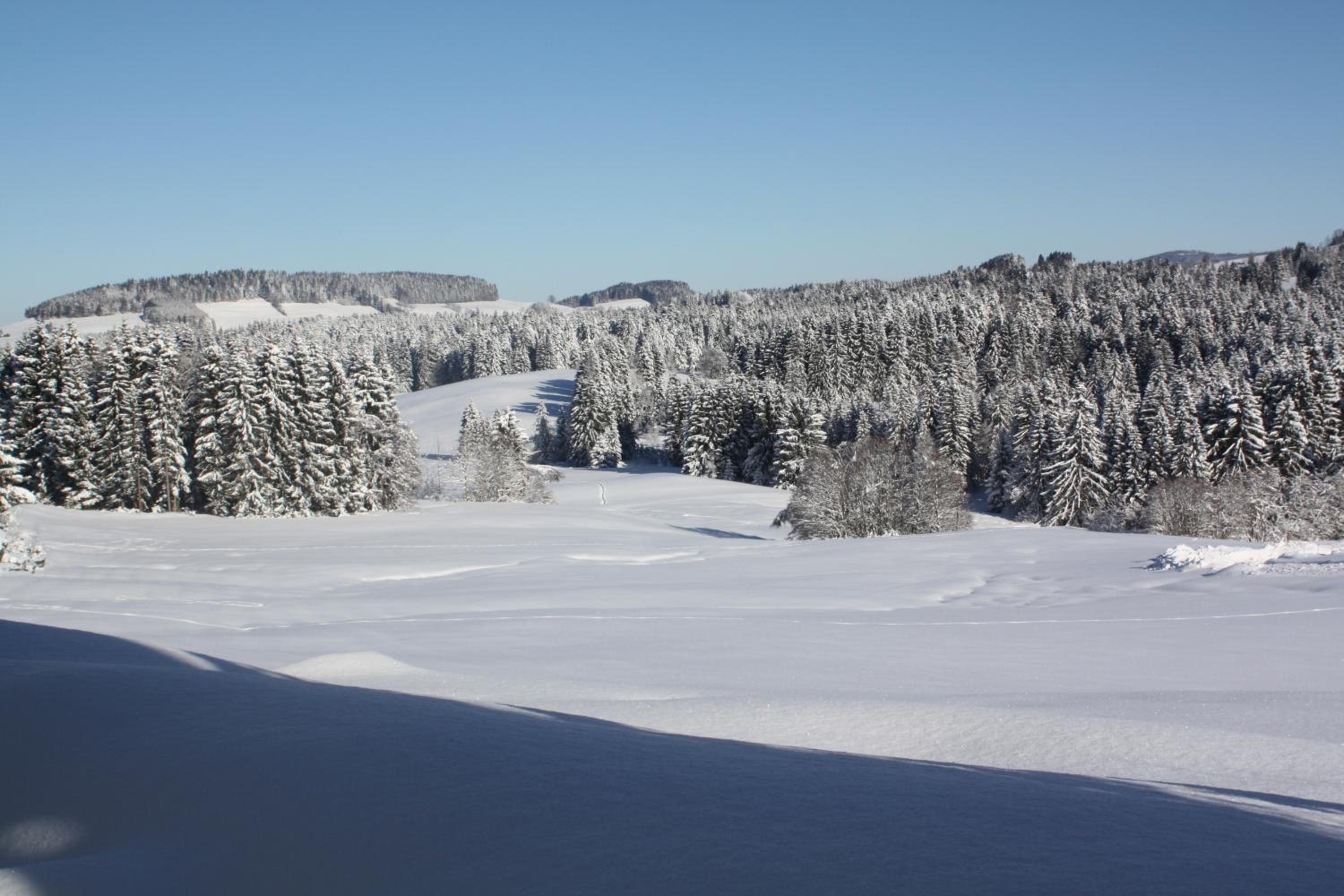 Ferienwohnung Nagelfluh Allgäu view 5
