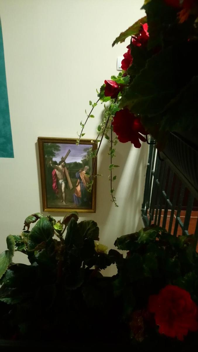 Photo 32