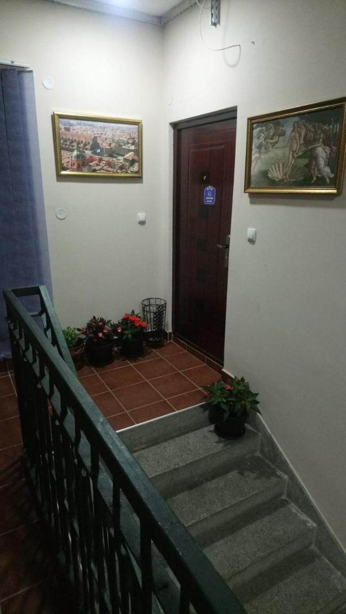 Photo 29