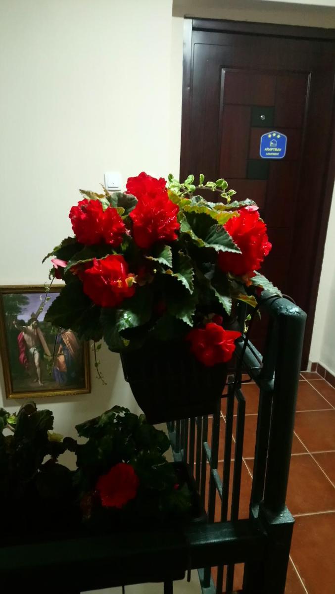 Photo 30