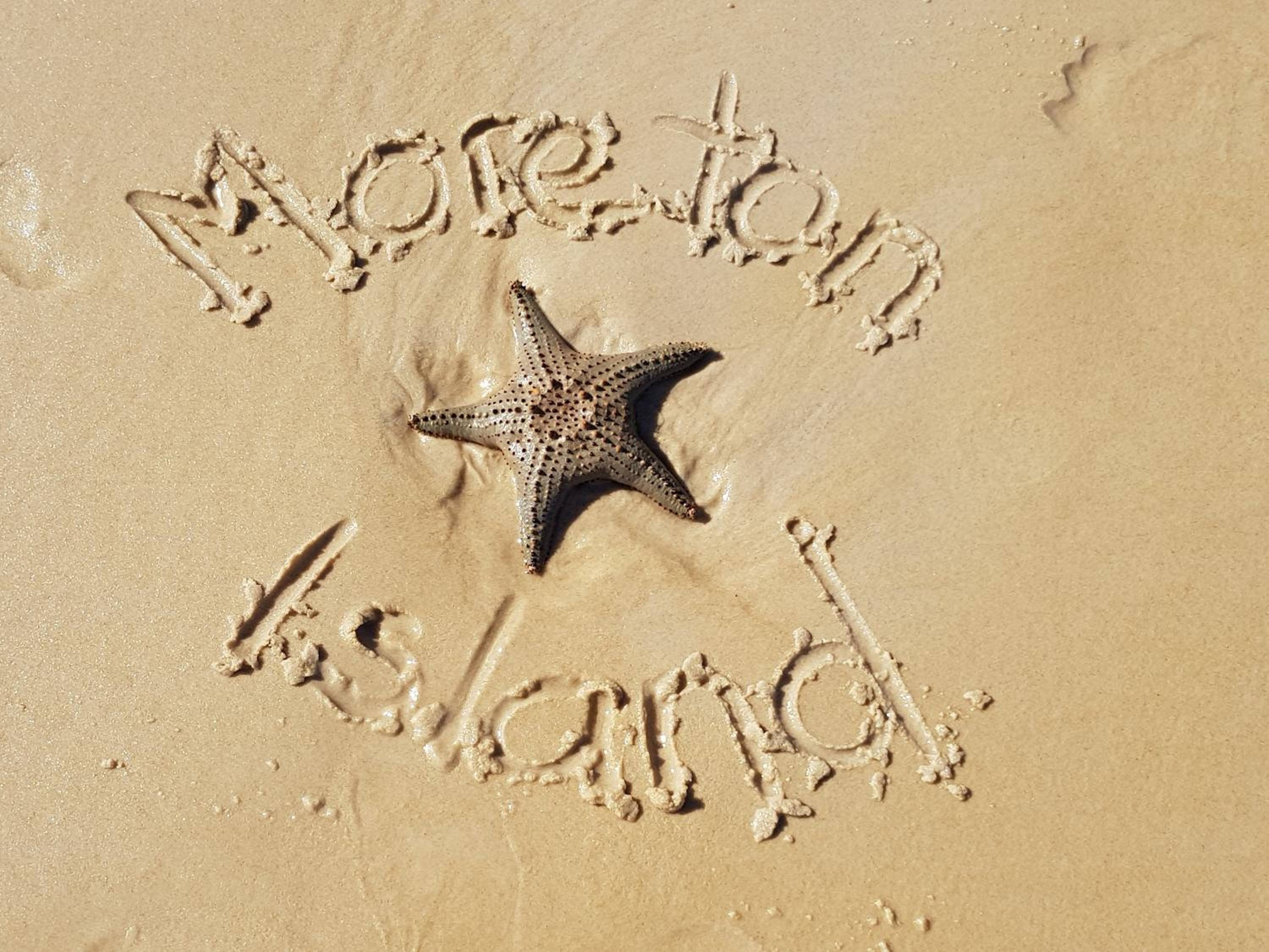 Moreton Island Villas and Apartments