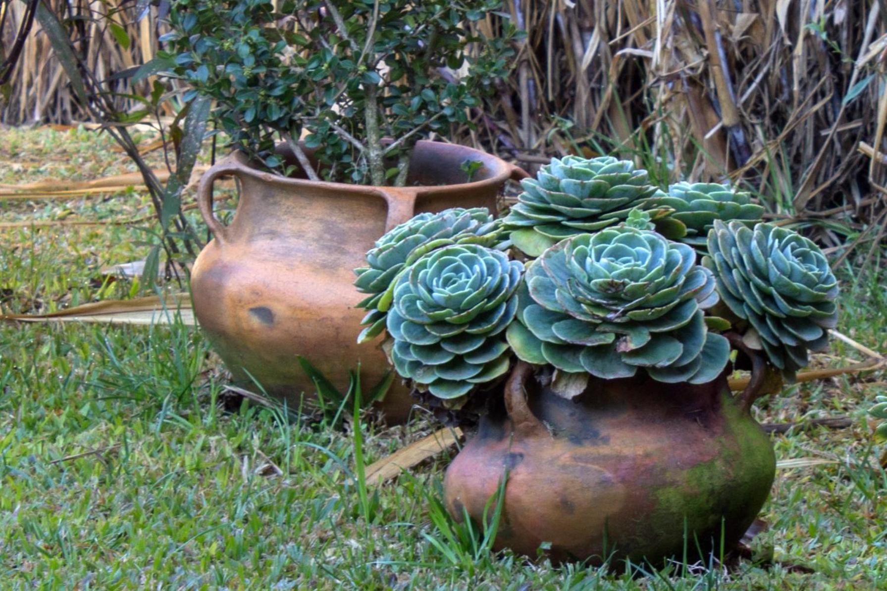 Cabañas Rosaverde