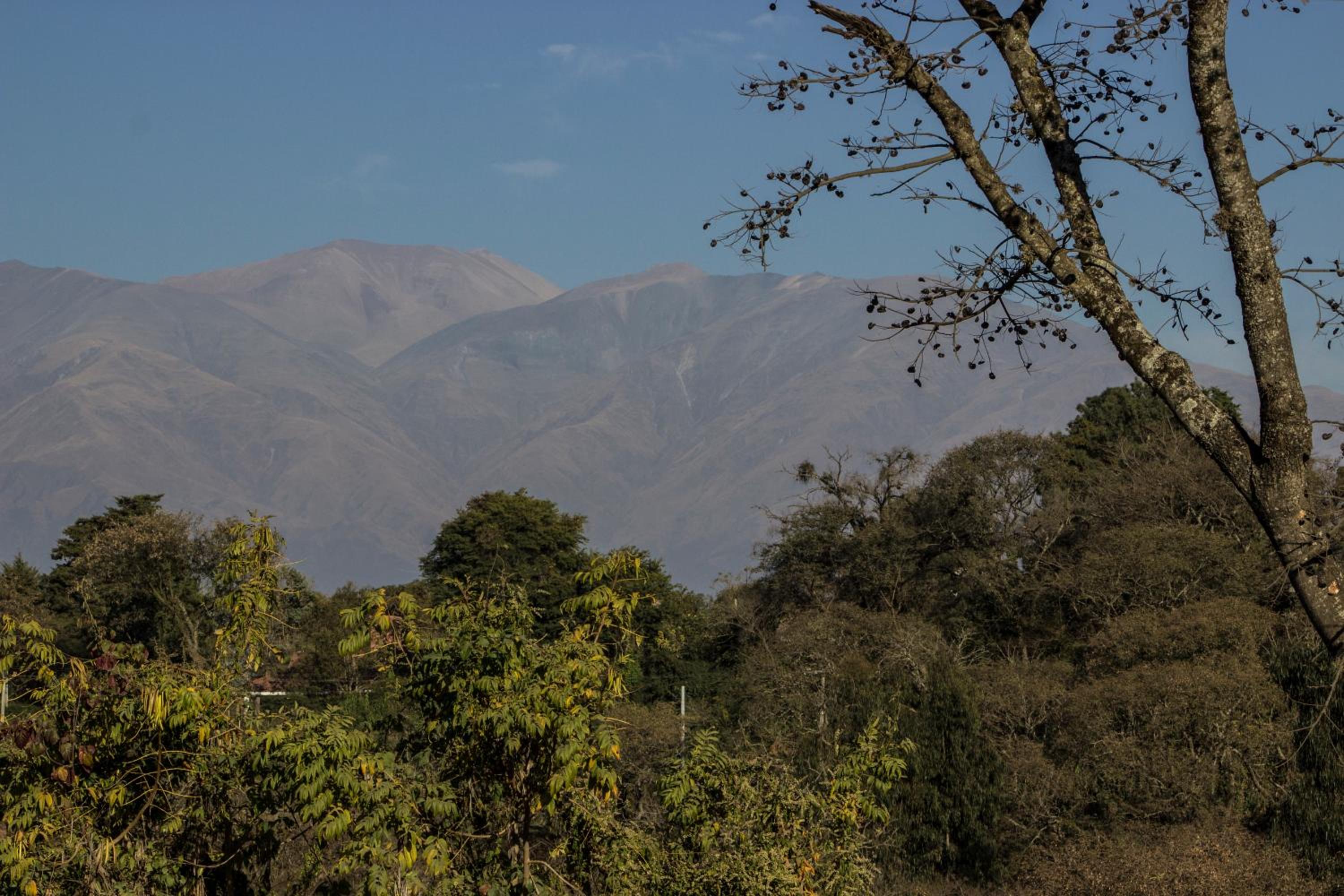 Cabañas Rosaverde