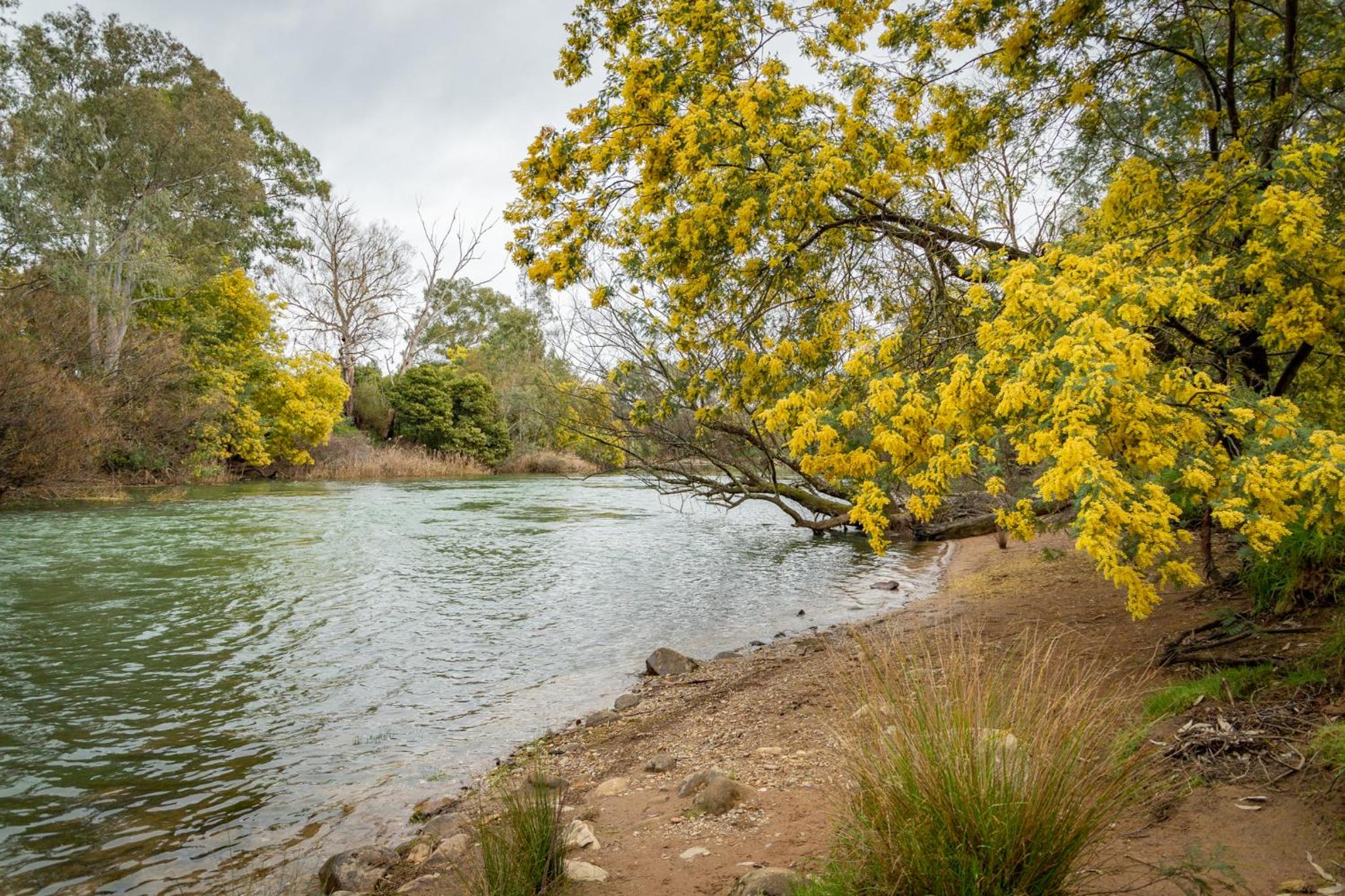 BIG4 Breeze Holiday Parks - Eildon