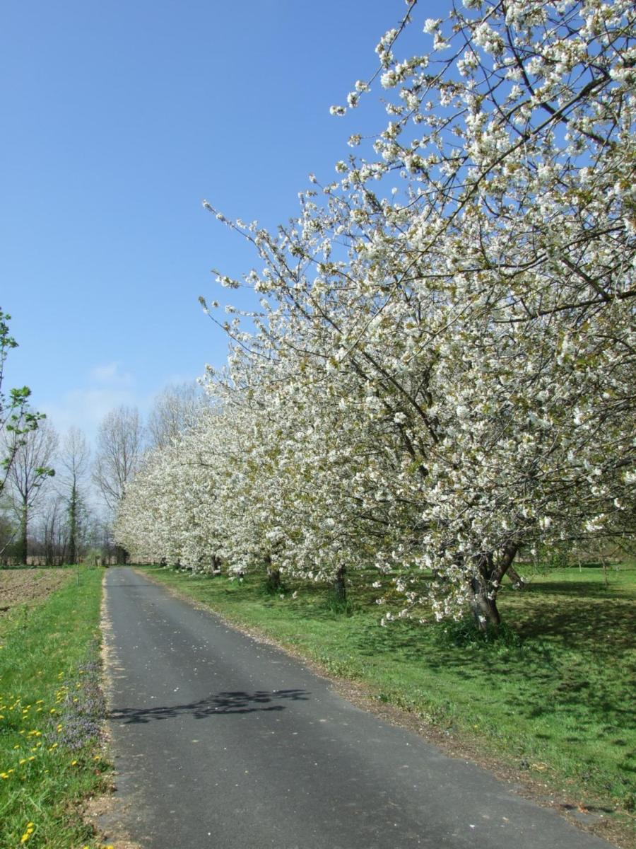 Photo 27
