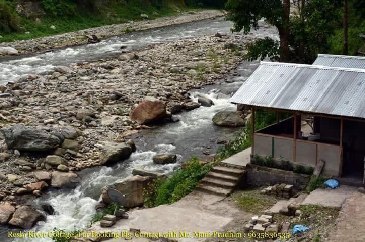 Reshi River Cottage view 3