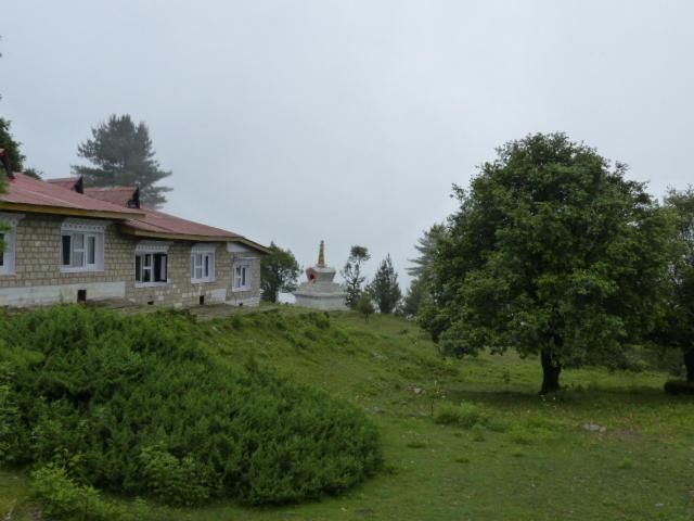 Photo 7