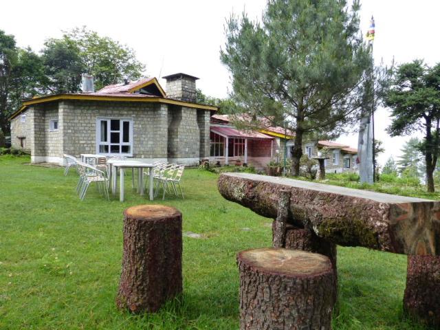 Photo 8