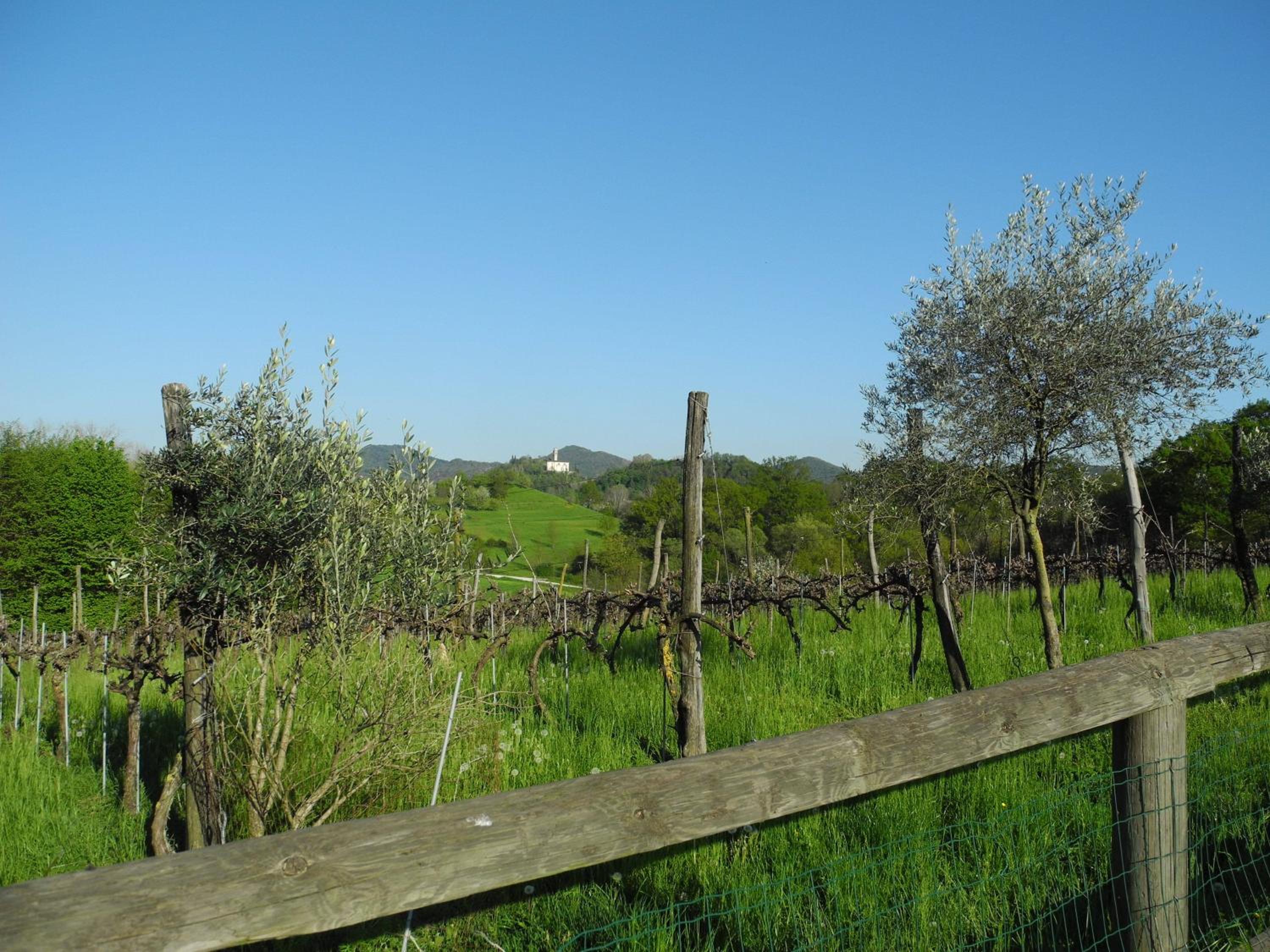 Photo 29