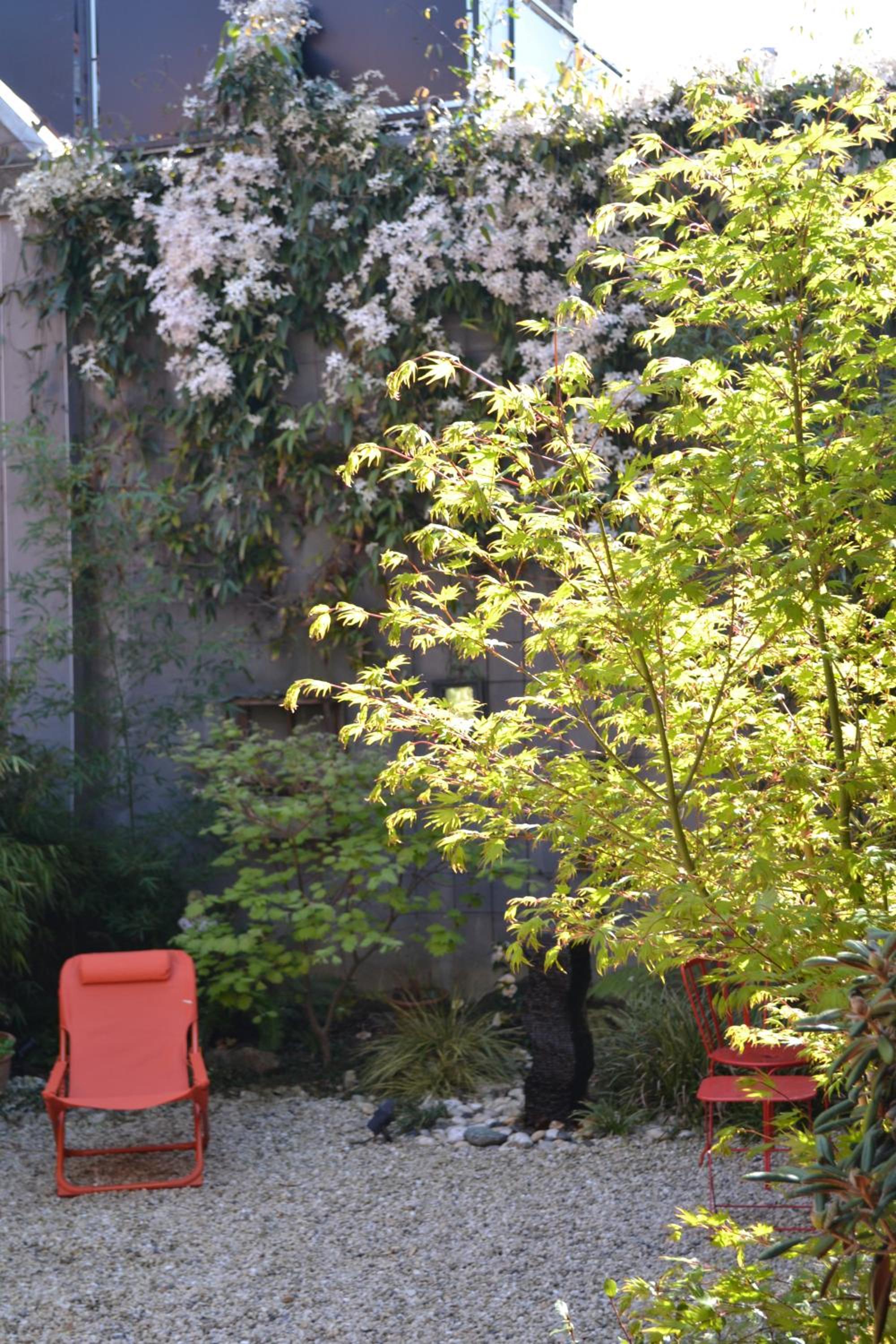 Chambre d'hôtes la Teinturerie, photo 16