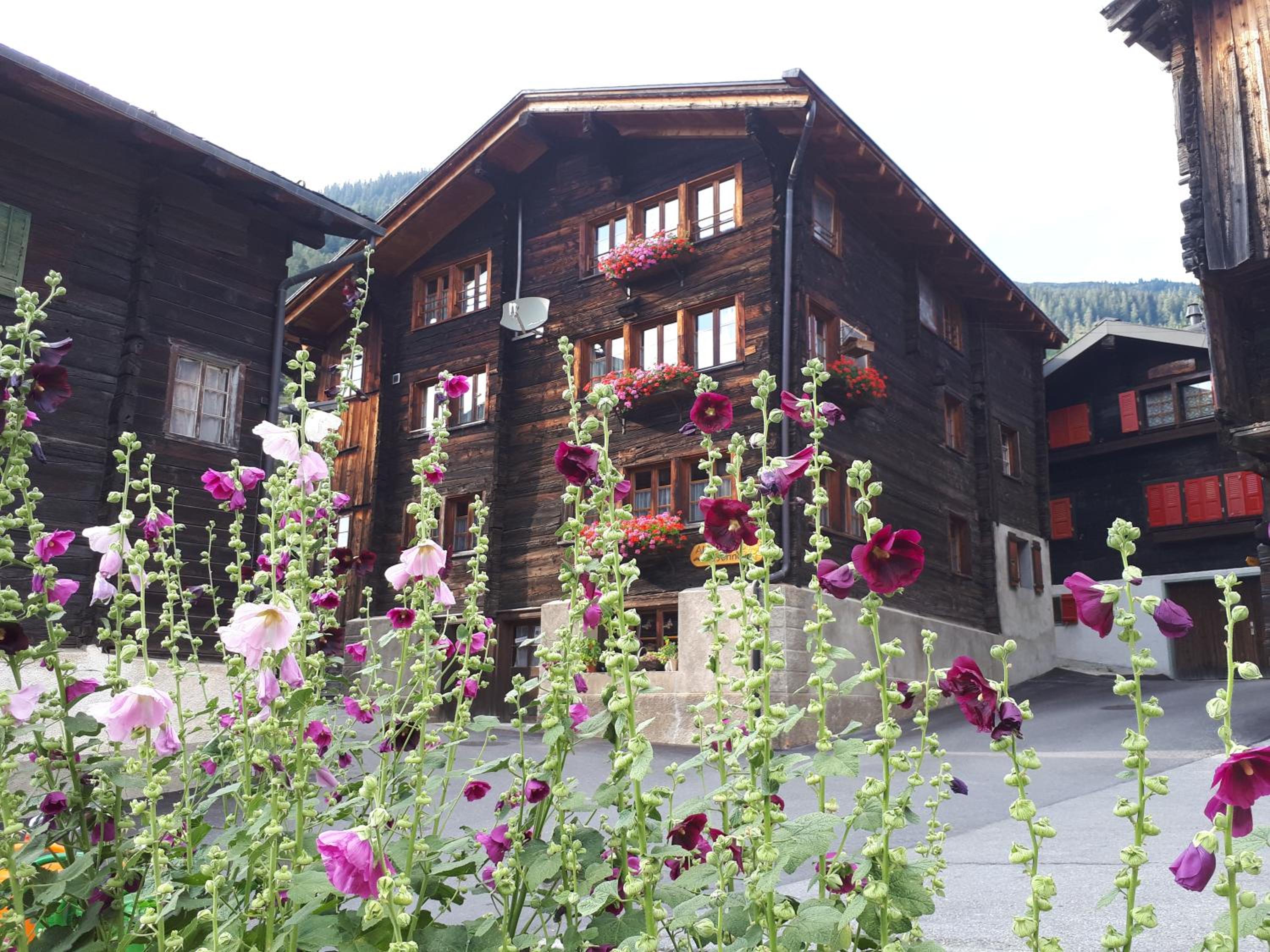 Alpensonne