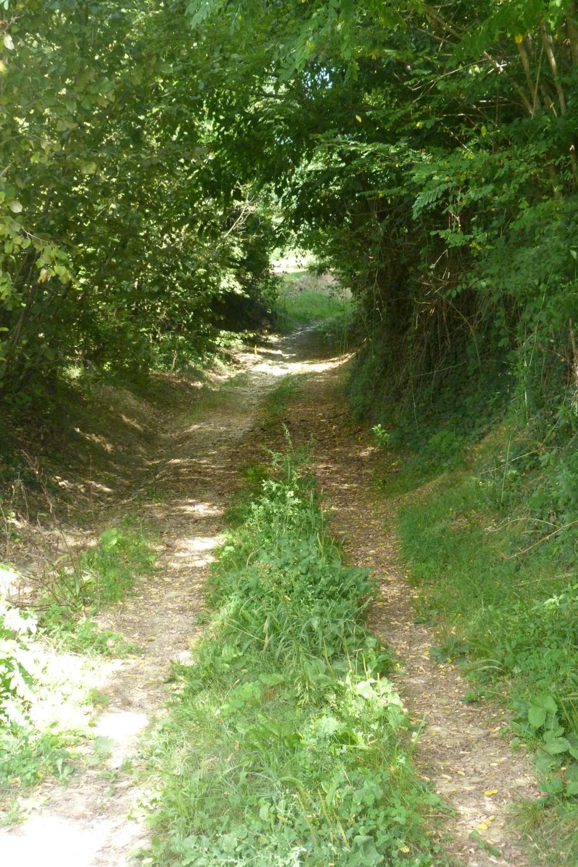 Photo 44