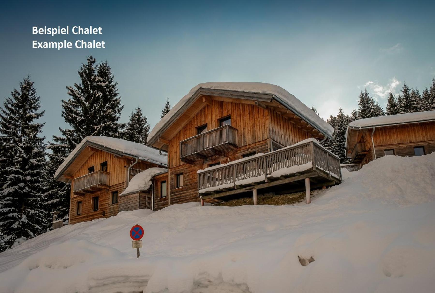 Alpendorf Dachstein West by ALPS RESORTS