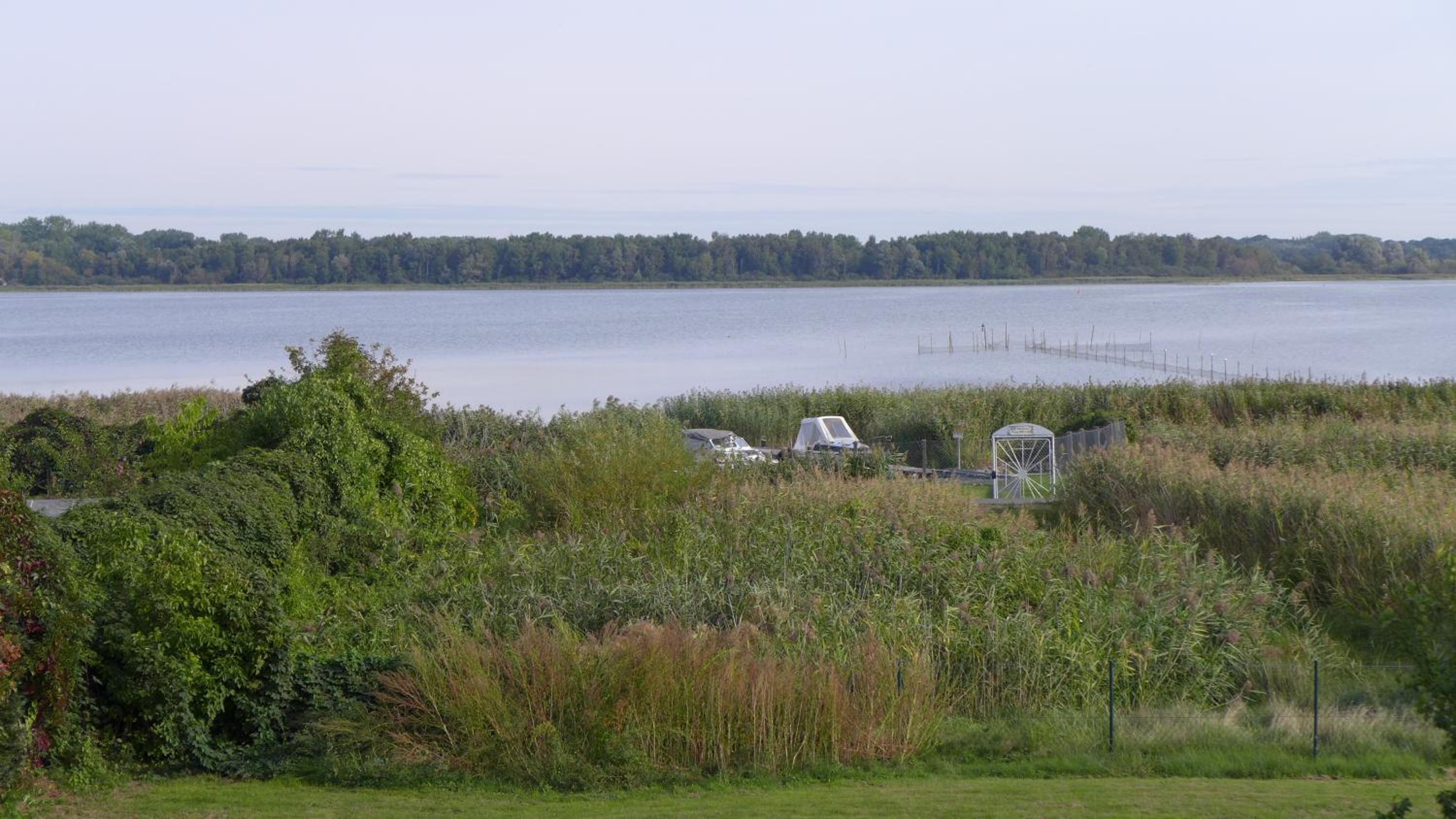 Pension Am Bodden view 3
