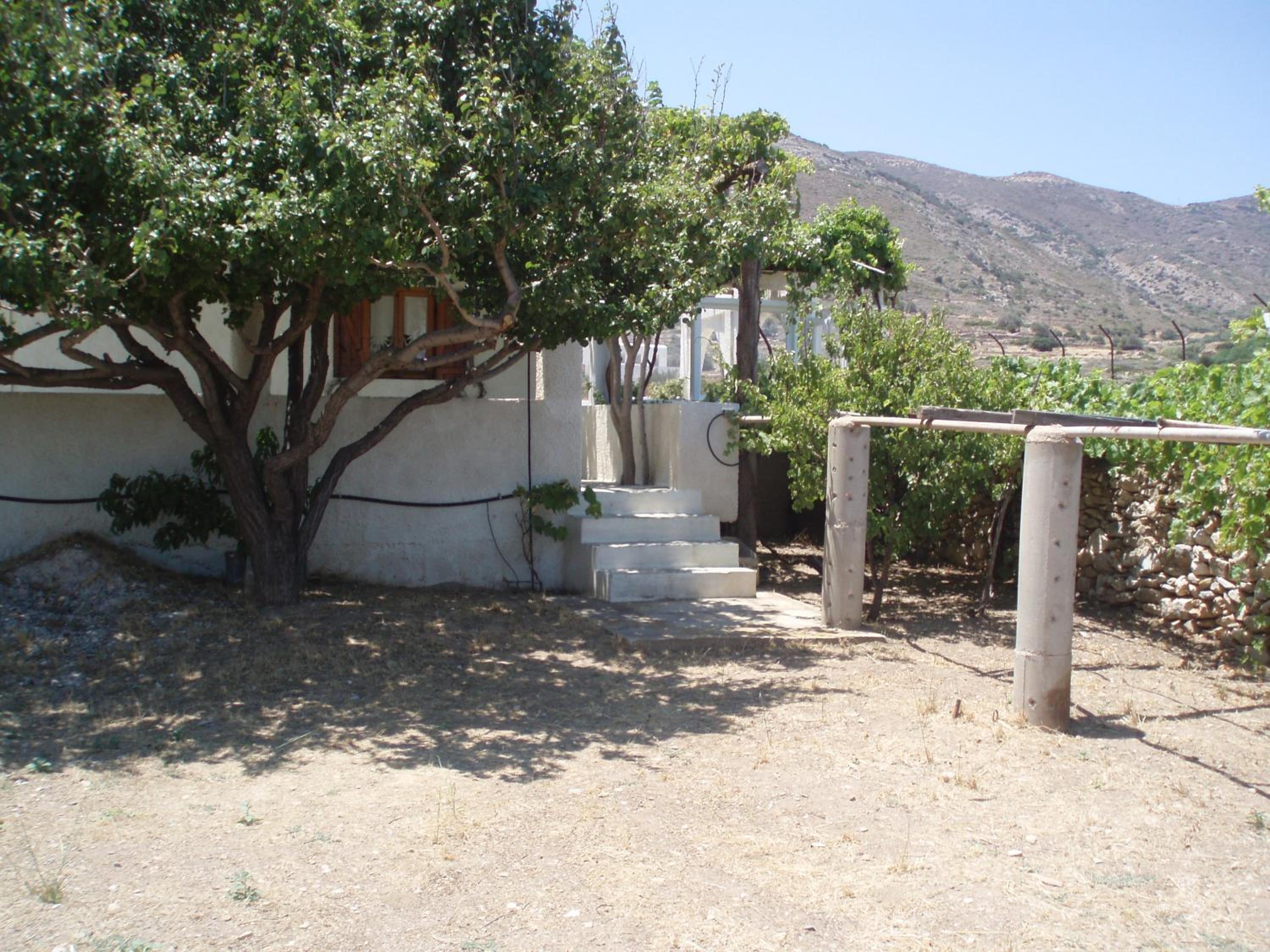 Photo 41