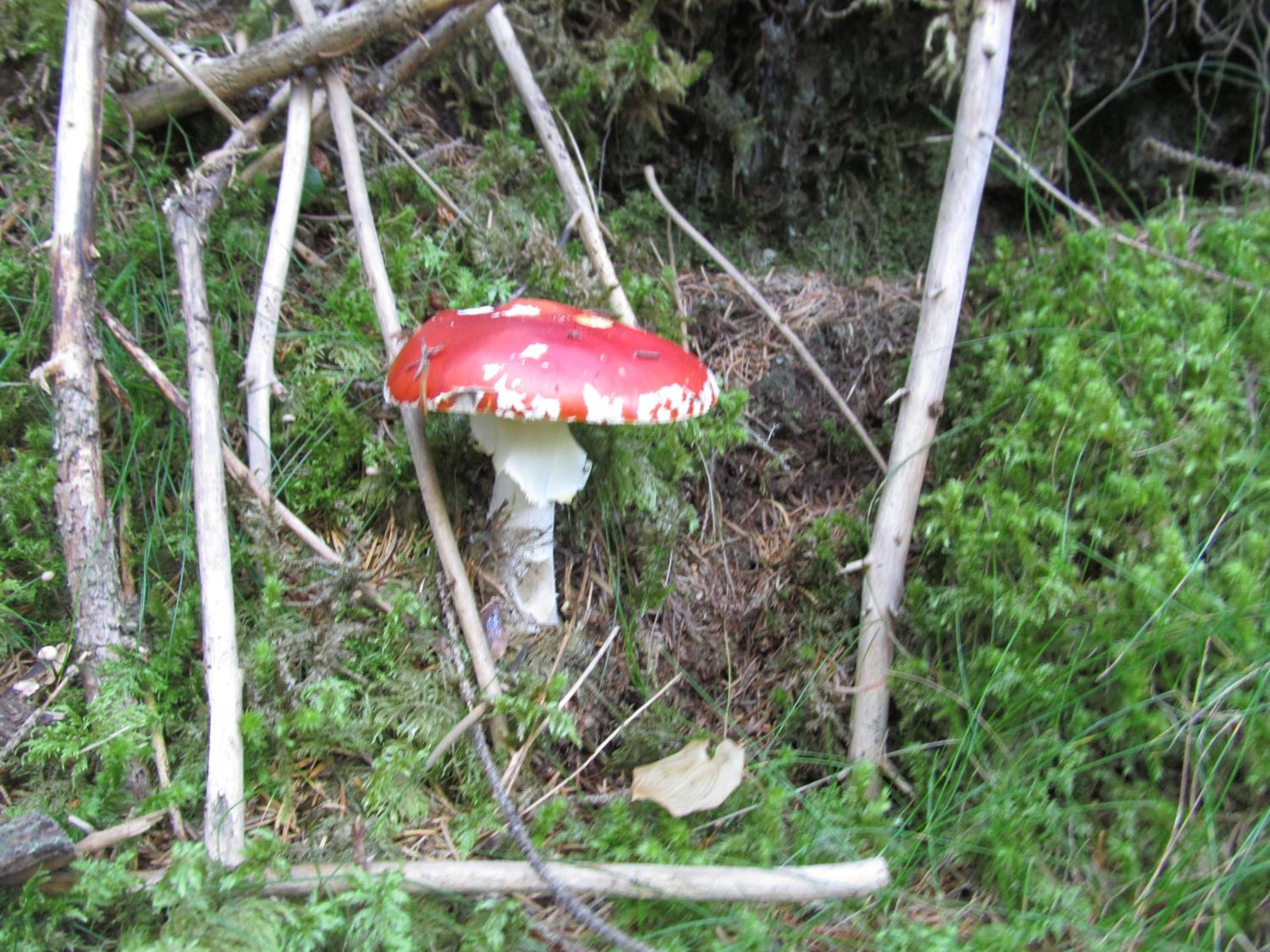 Klampererhof