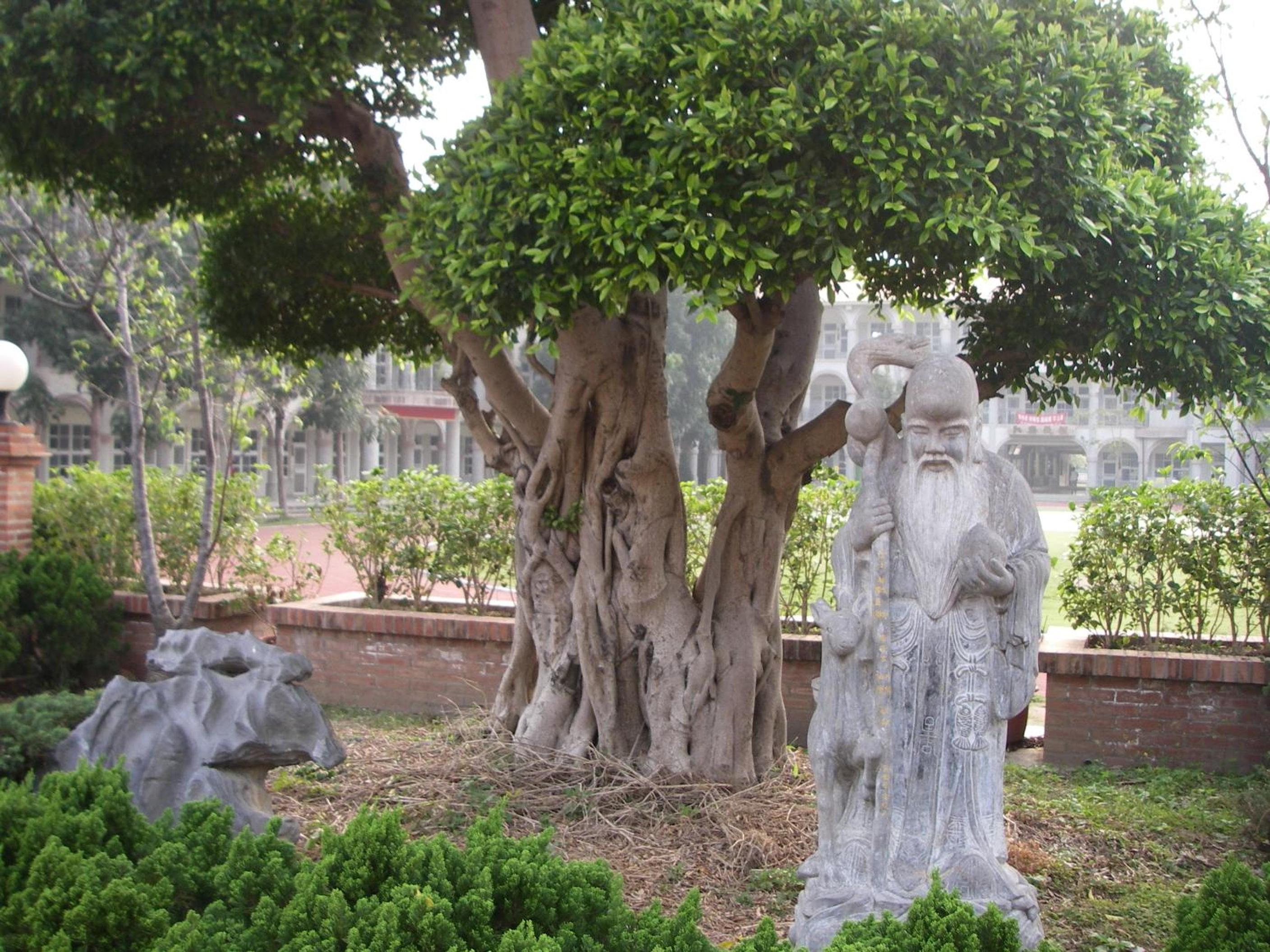Photo 43