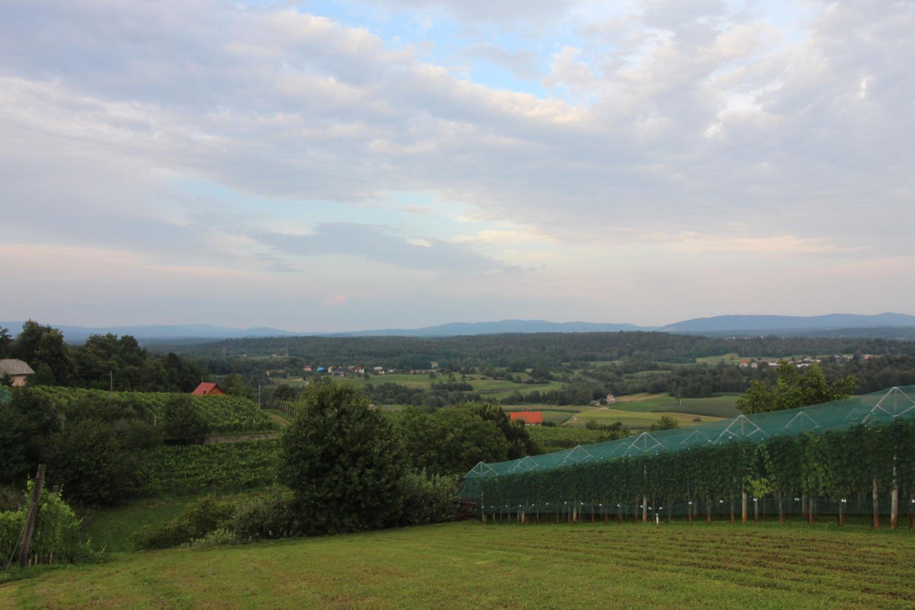 Vineyard Cottage Stepan