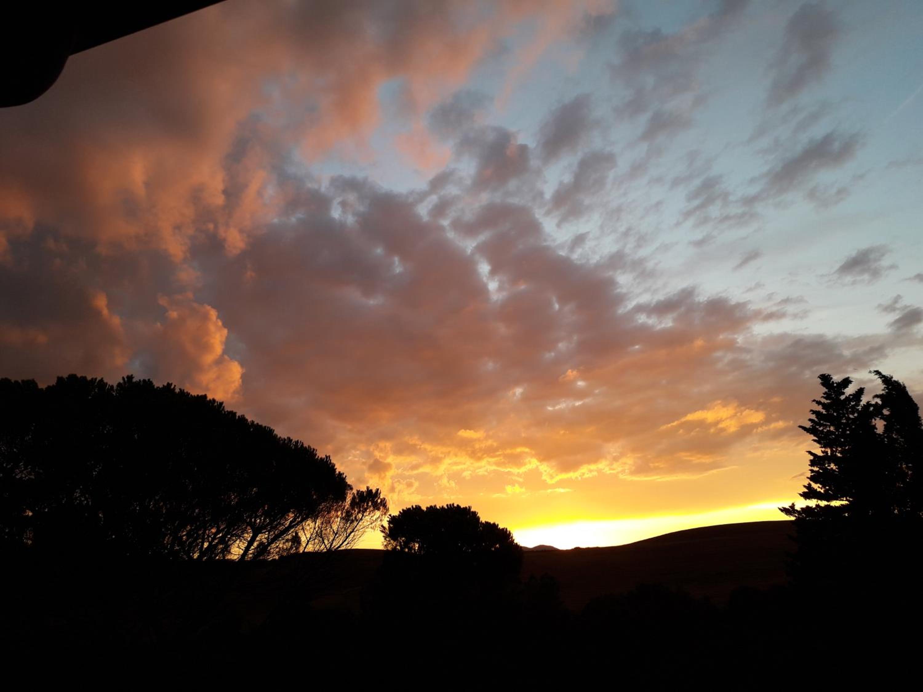 Photo 75