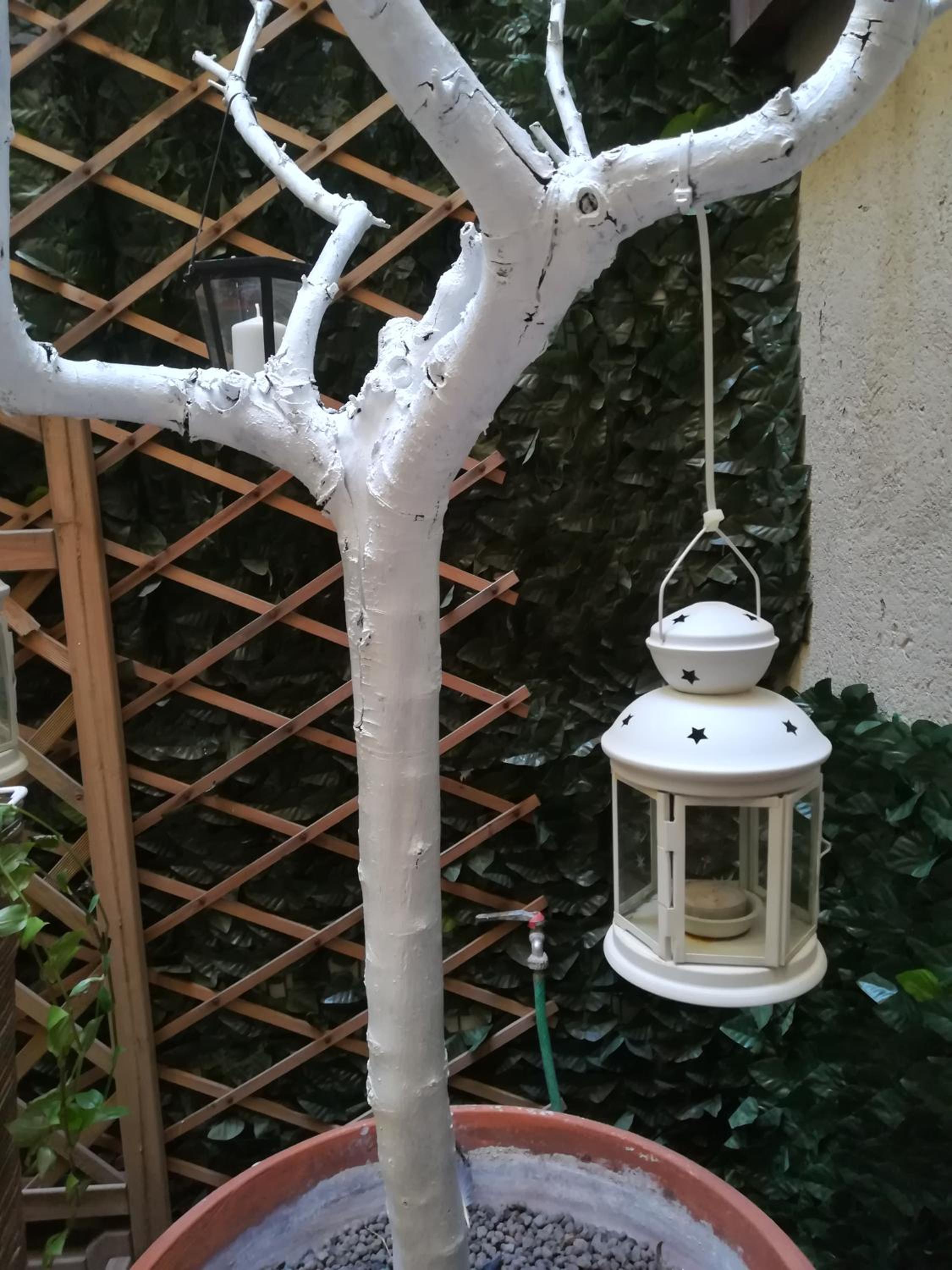 Relais Palazzo Taverna