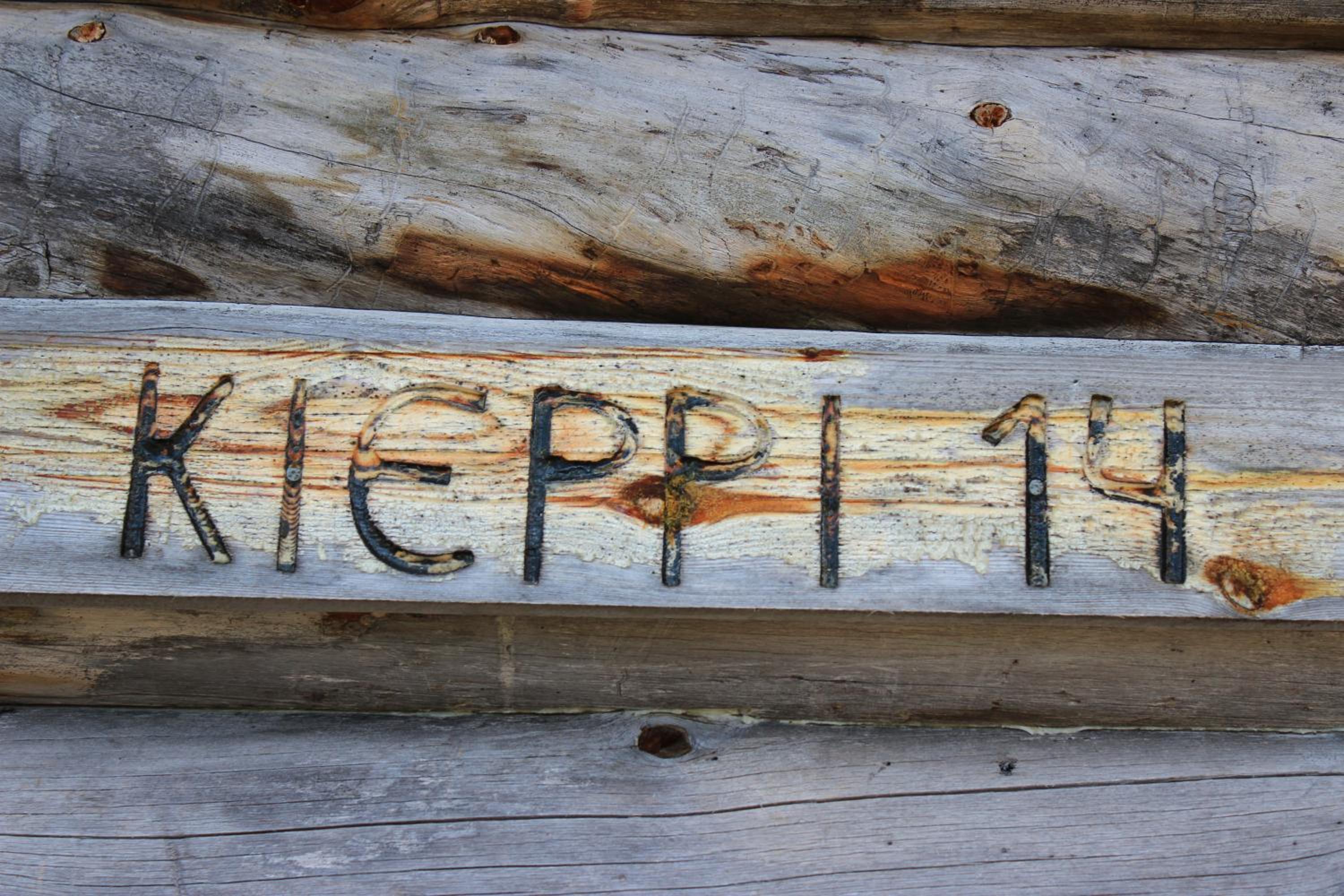 Kieppi