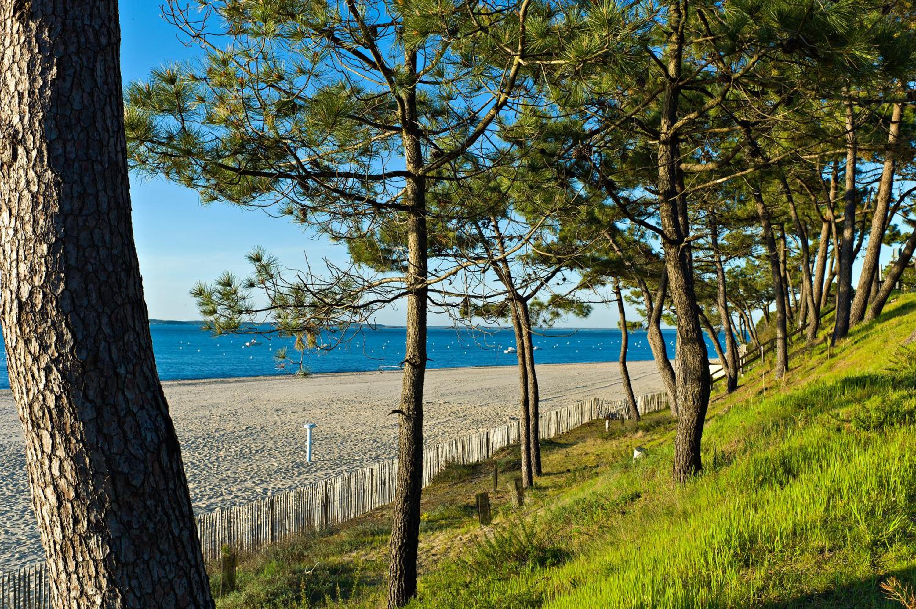 Arcachon Vacations - Thalazur Arcachon - Property Image 10