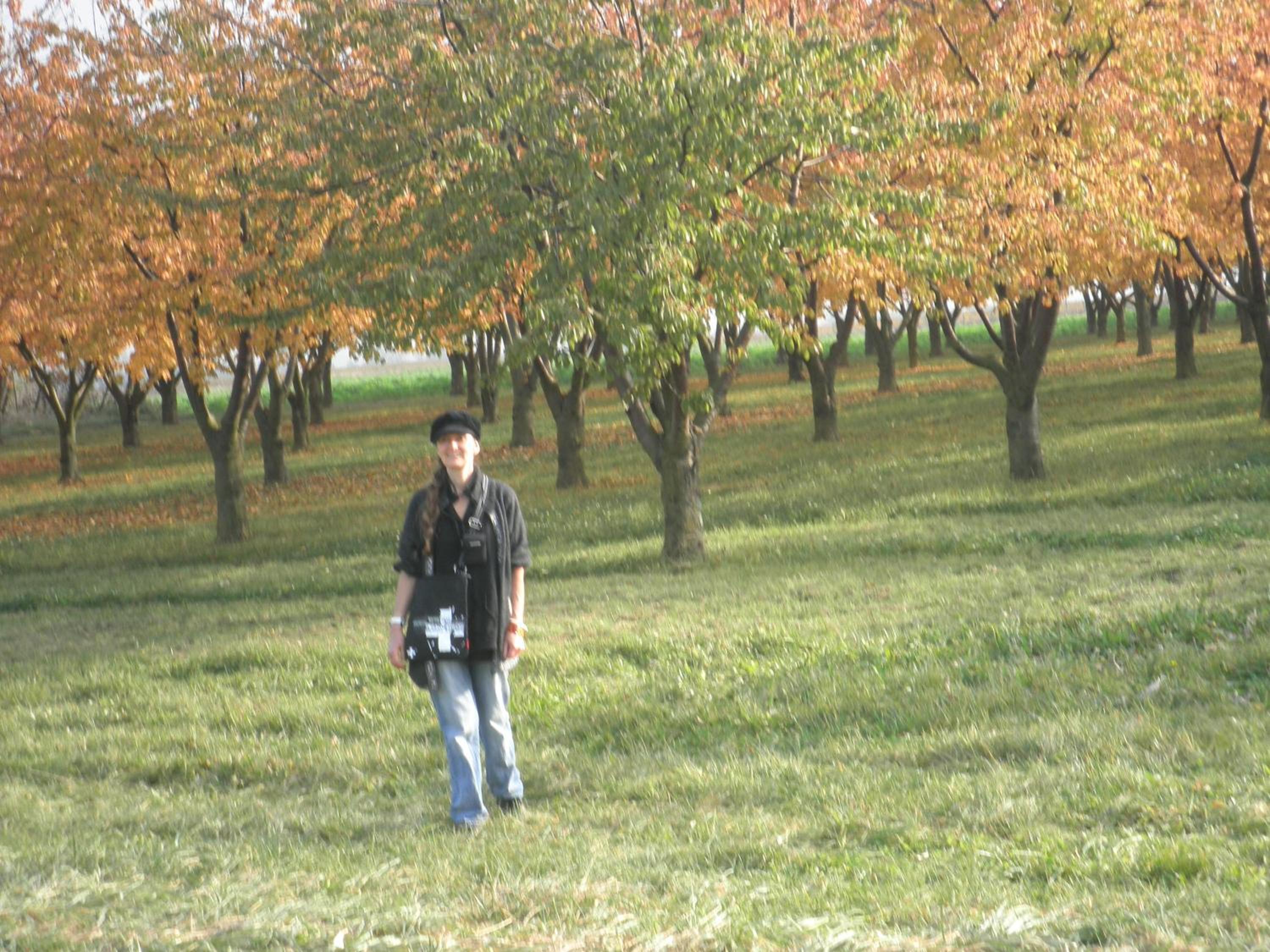 Photo 34