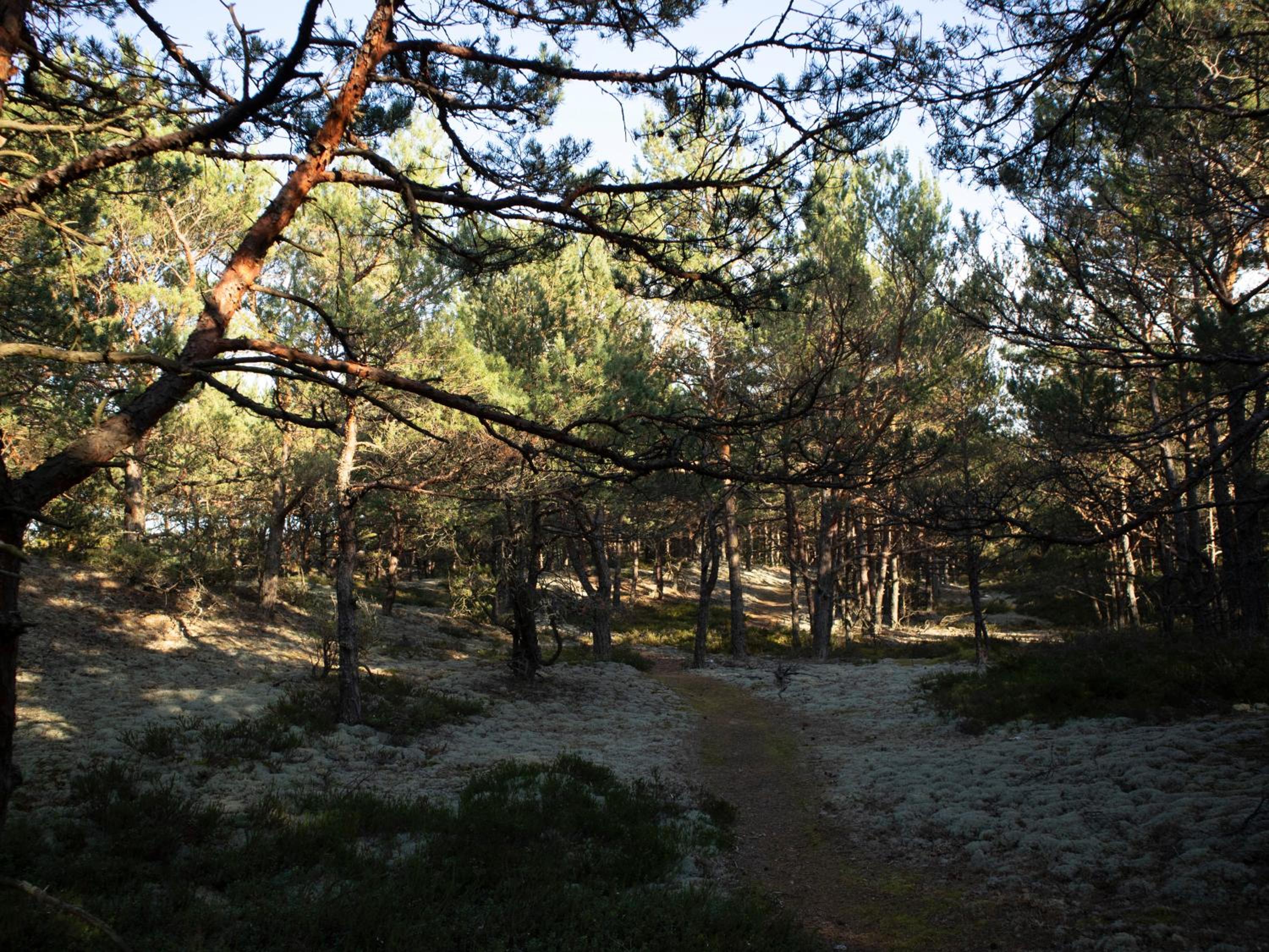 Photo 27