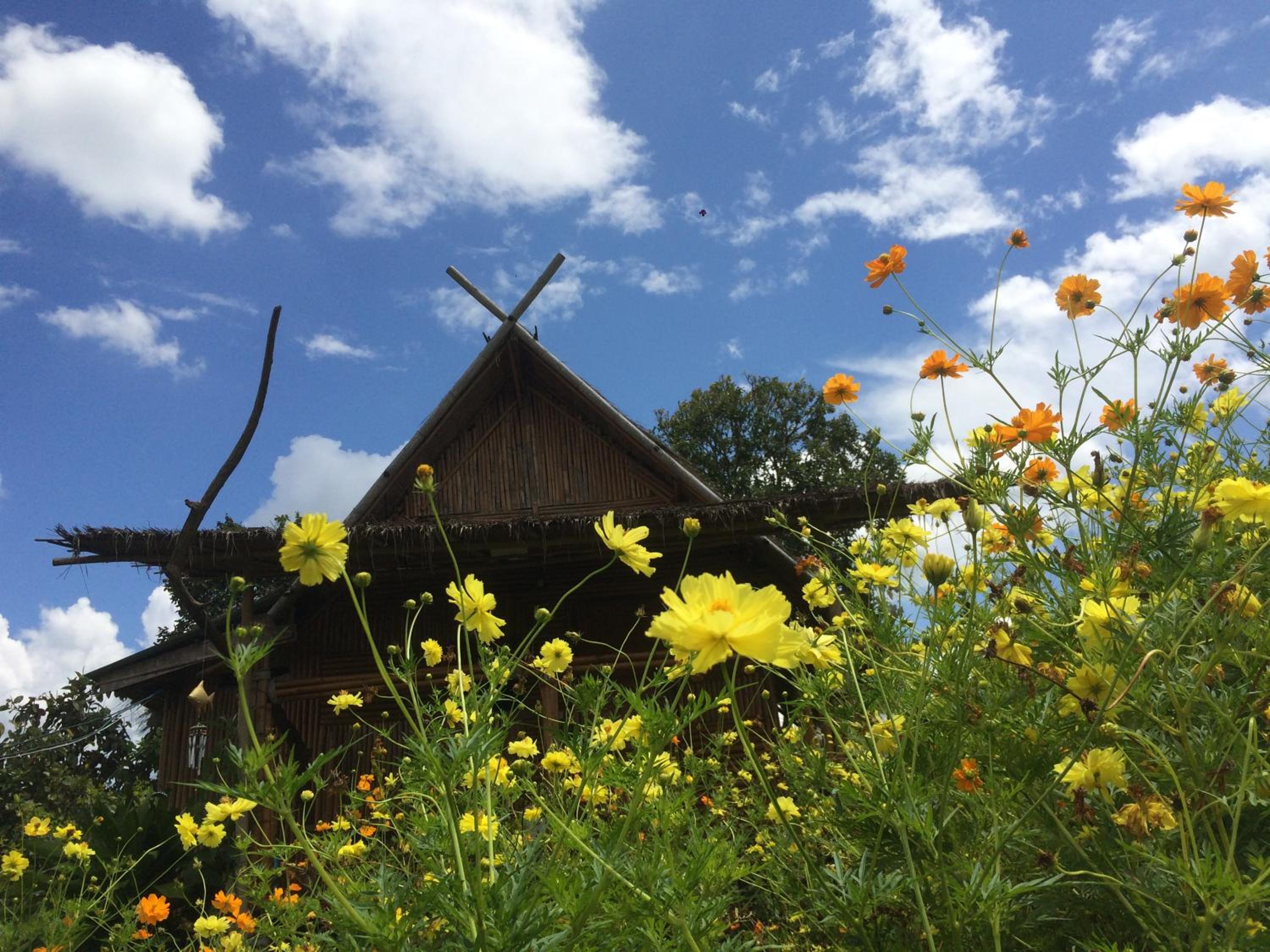 Baan 2 Dao Farmstay