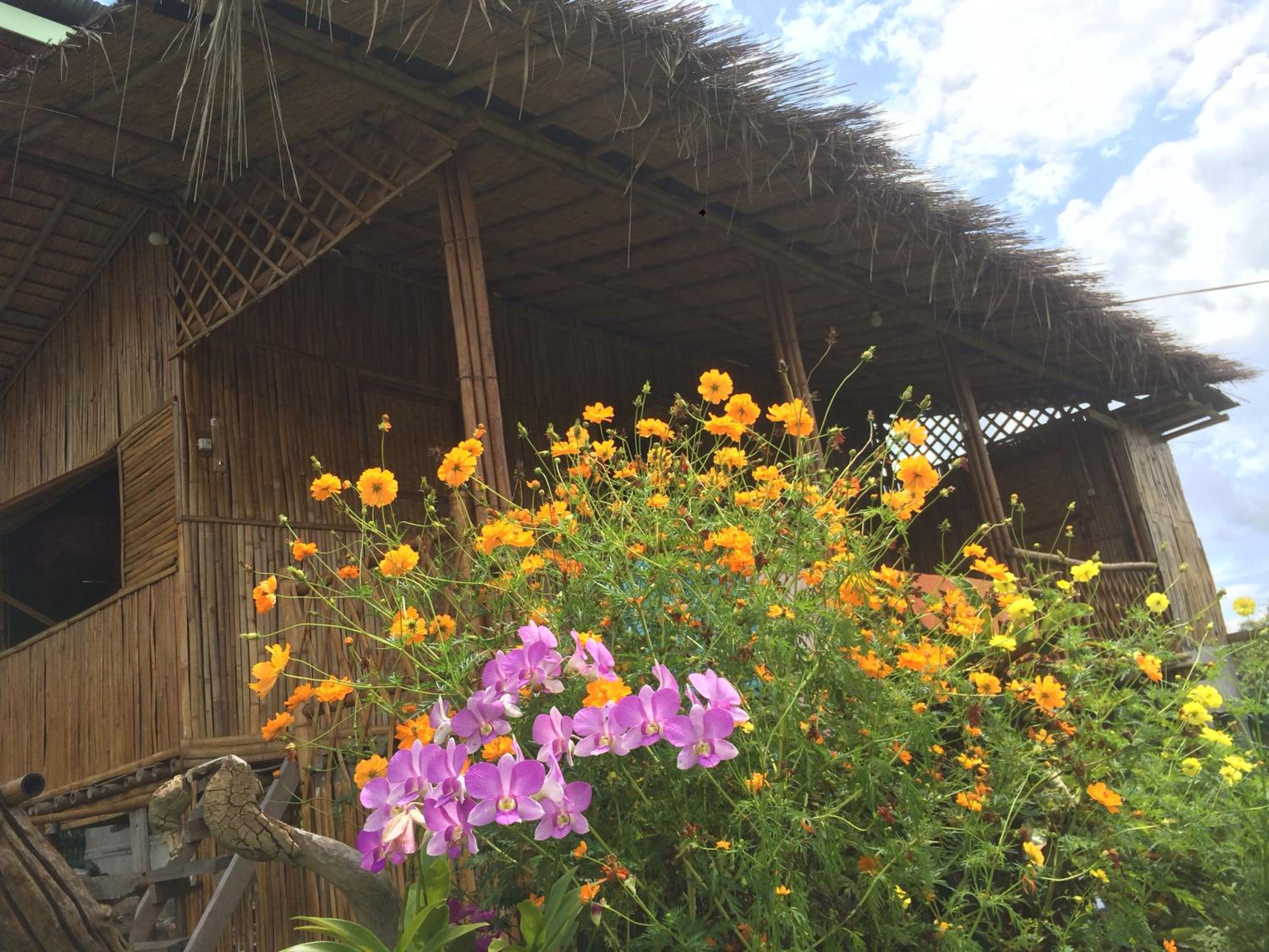Baan 2 Dao Farmstay
