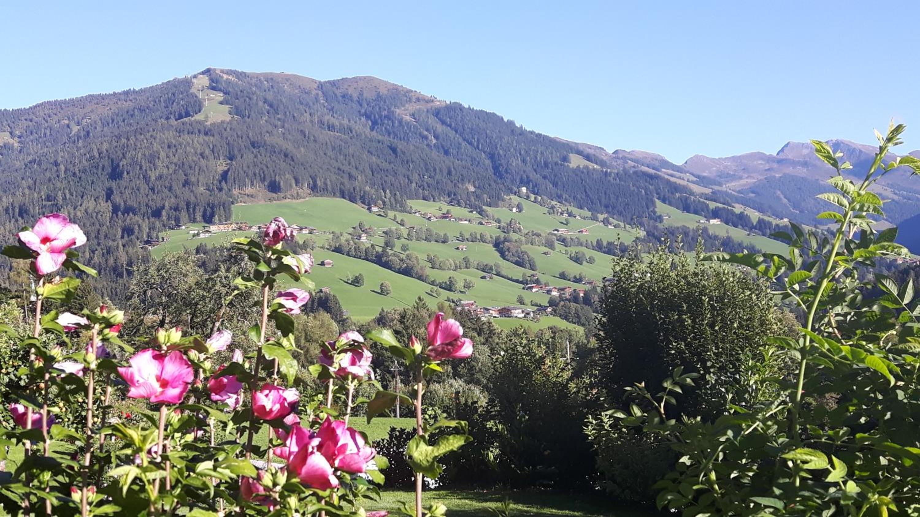Haus Schmetterling