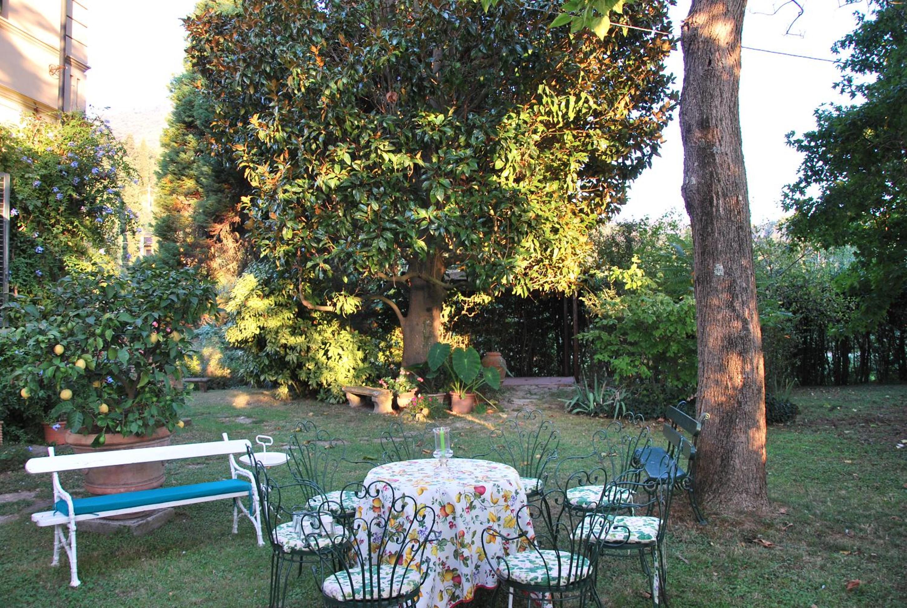 Photo 16
