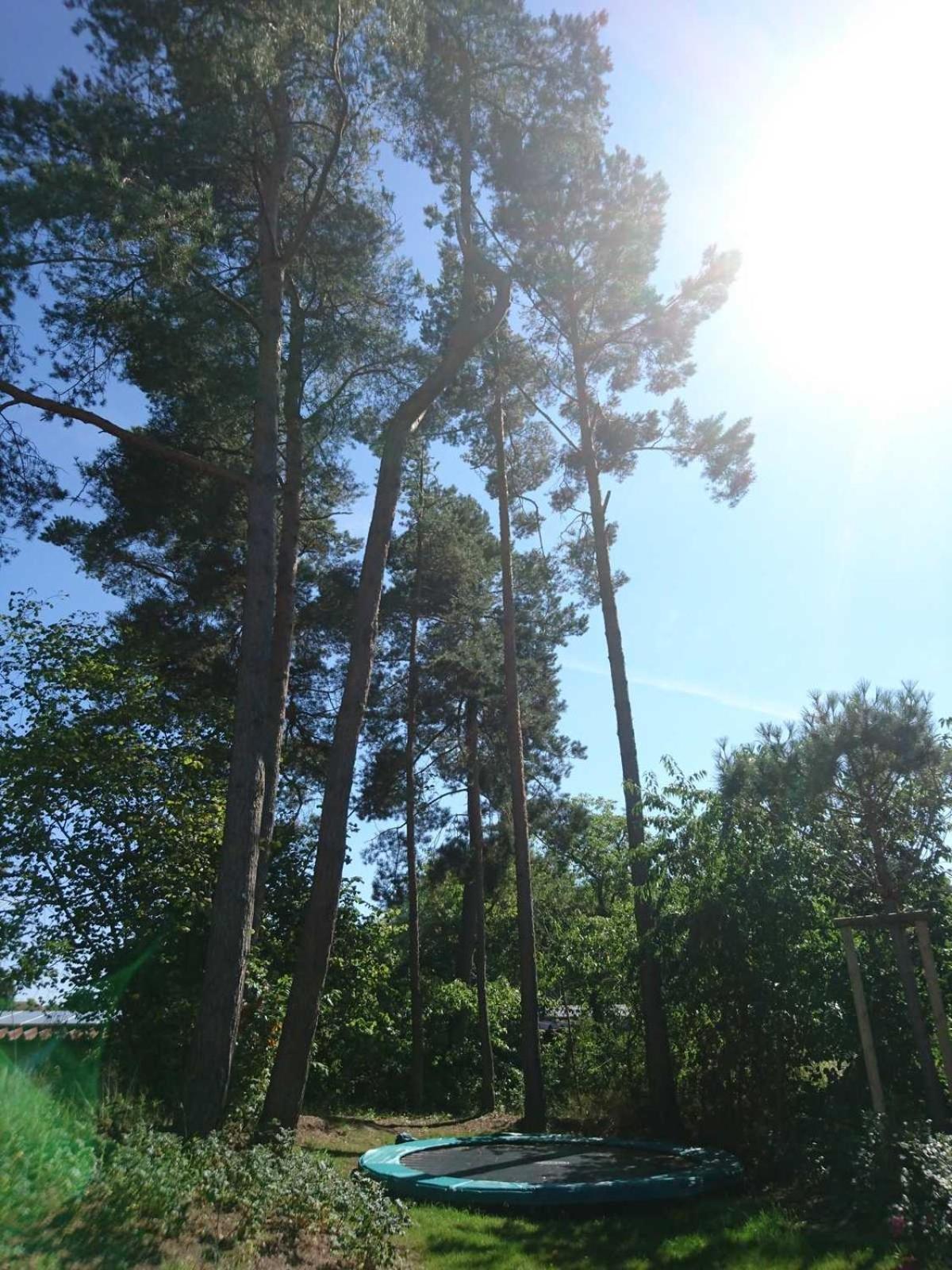 Kapitaensweg 32
