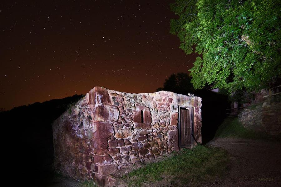 Photo 22