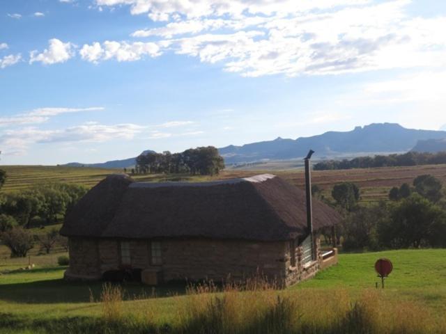 Photo 46